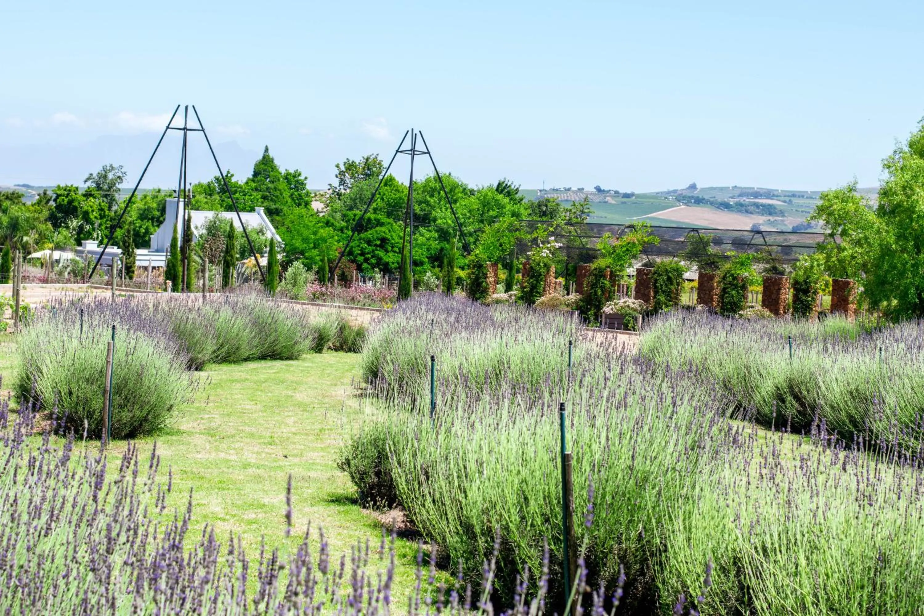 Natural landscape in Val de Vine