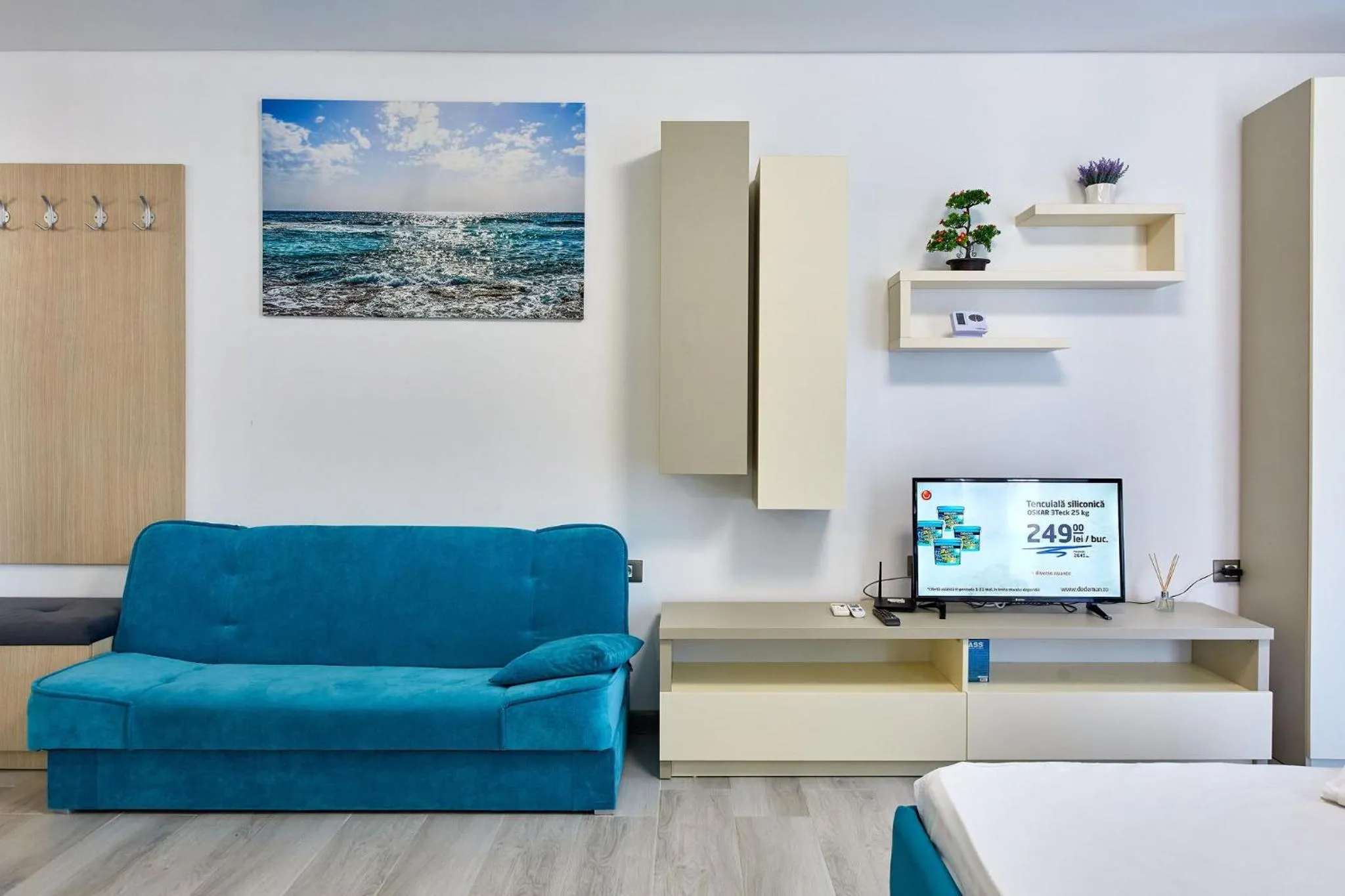 TV and multimedia in Apartamente Nord 10