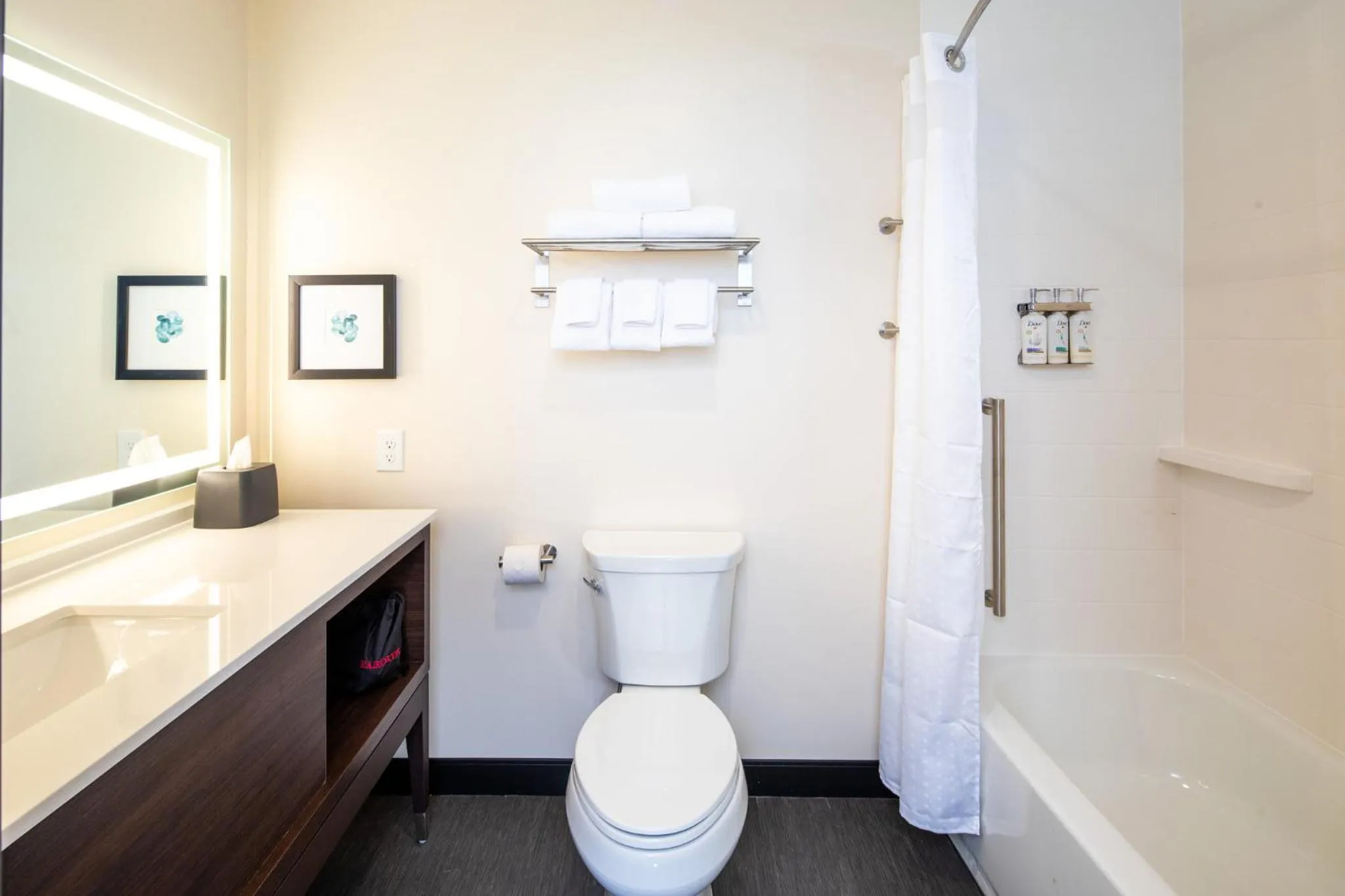 Bathroom in Holiday Inn & Suites Detroit - Troy by IHG