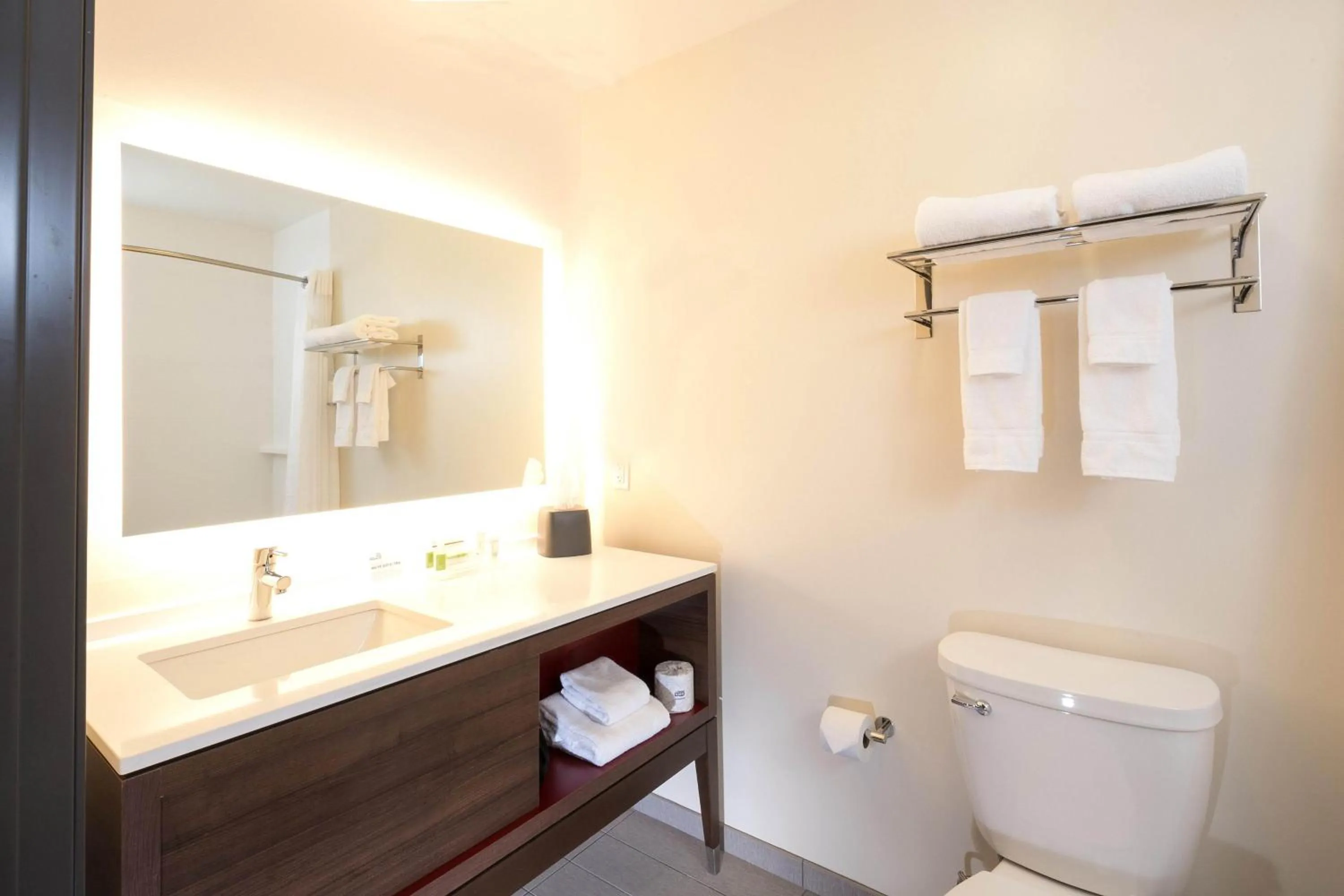Bathroom in Holiday Inn & Suites Detroit - Troy by IHG