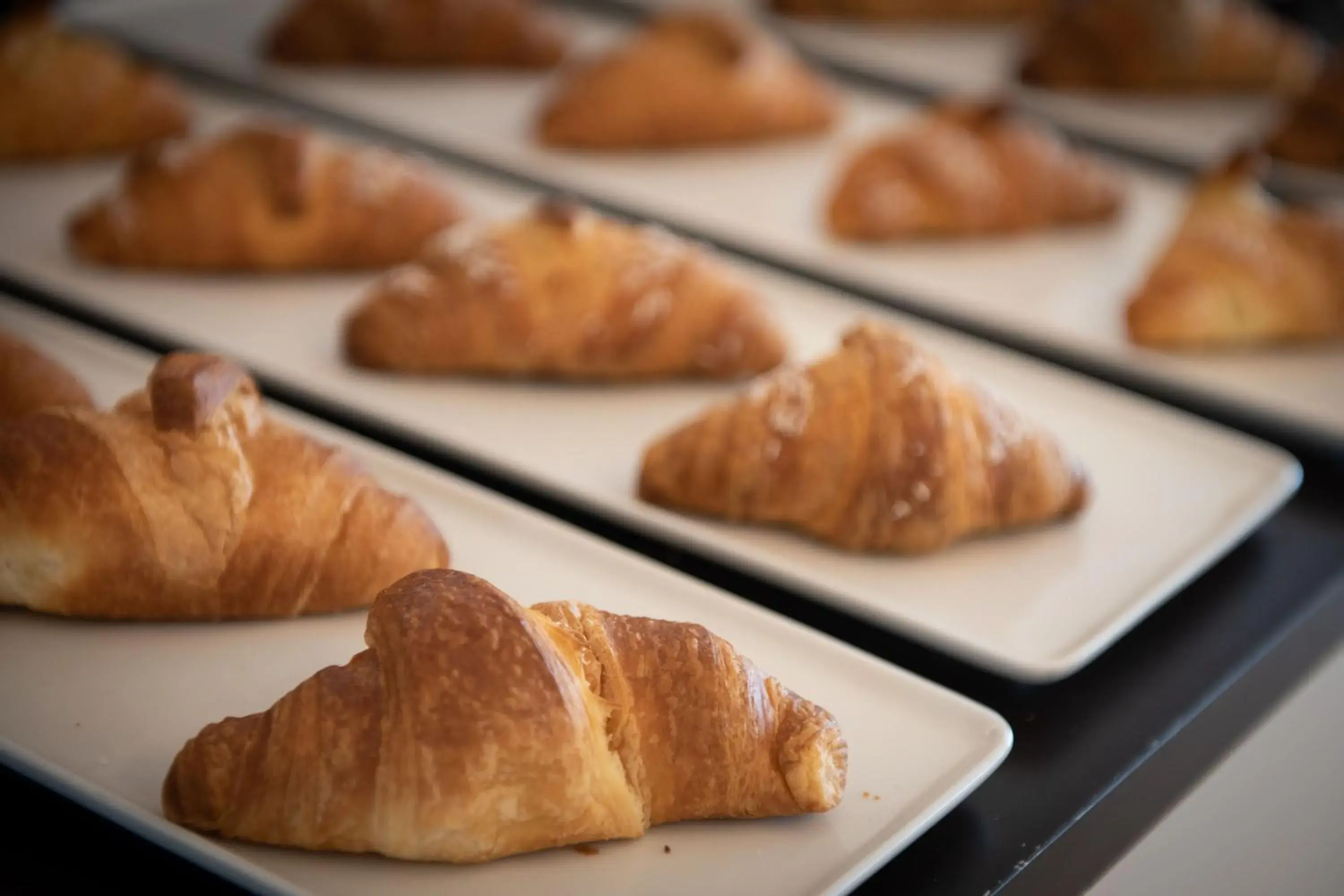 Food and drinks in JR Hotels Gigli Firenze Food and drinks in JR Hotels Gigli Firenze