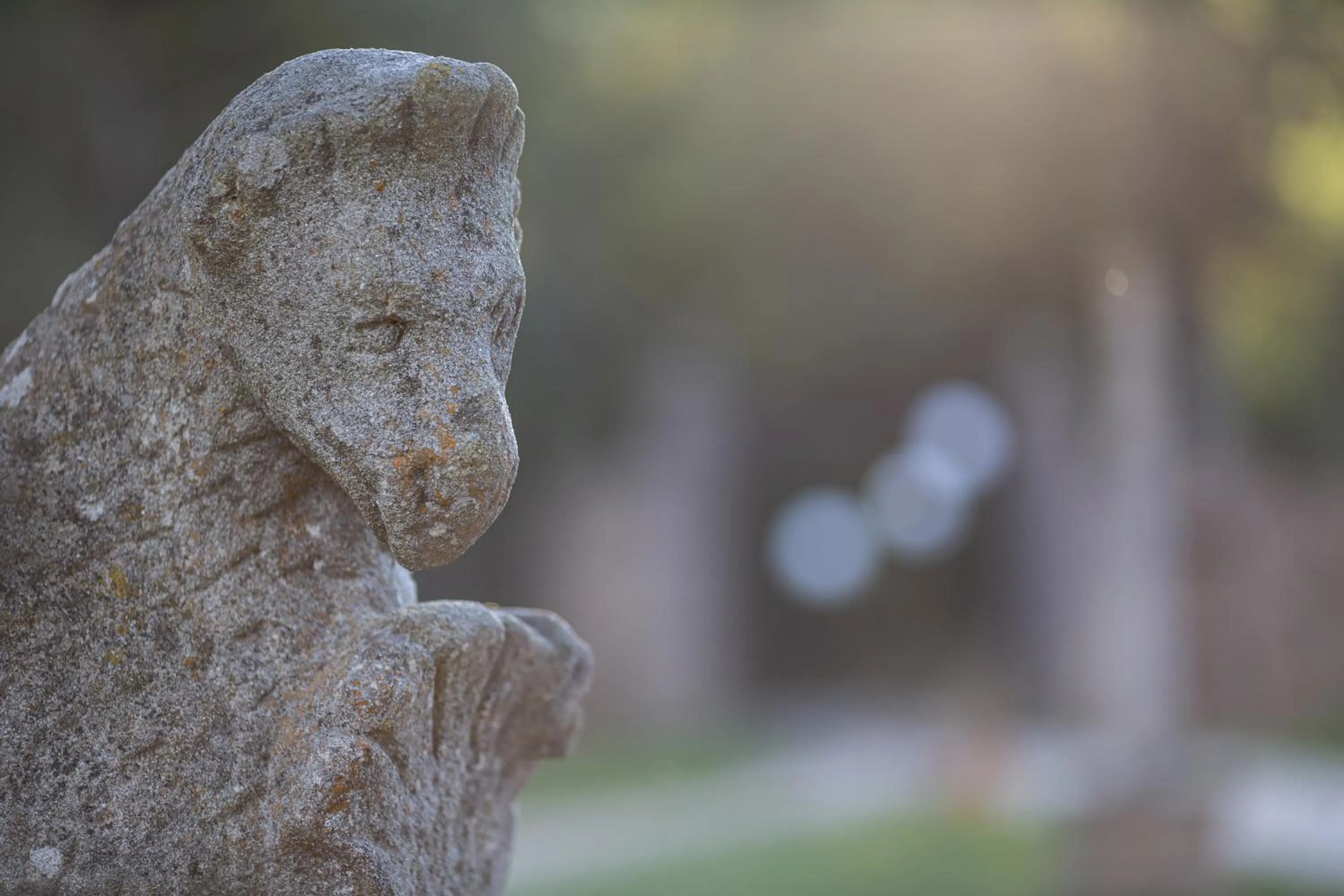 Natural landscape in Domaine et Château de Valinches