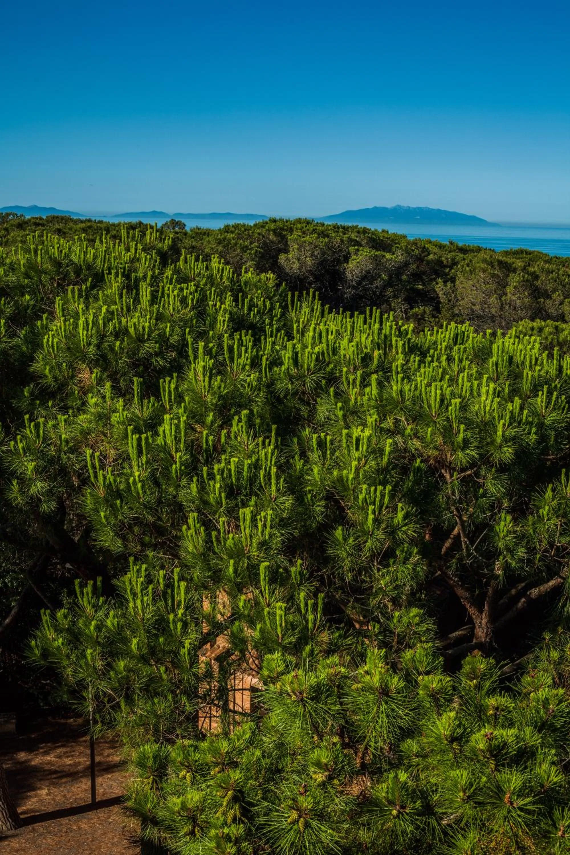 Other in Park Hotel Marinetta - Beach & Spa