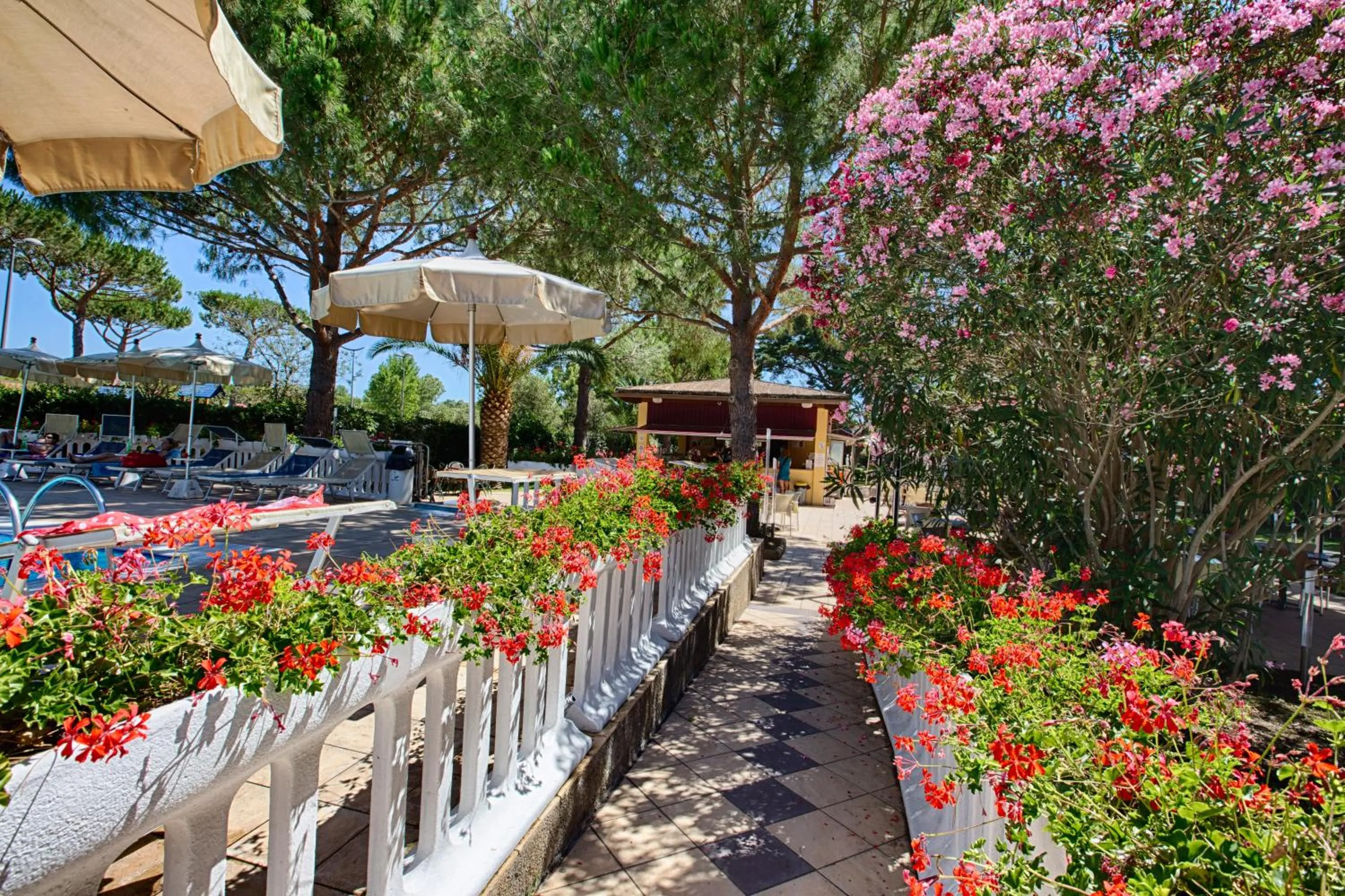 Lounge or bar in Park Hotel Marinetta - Beach & Spa