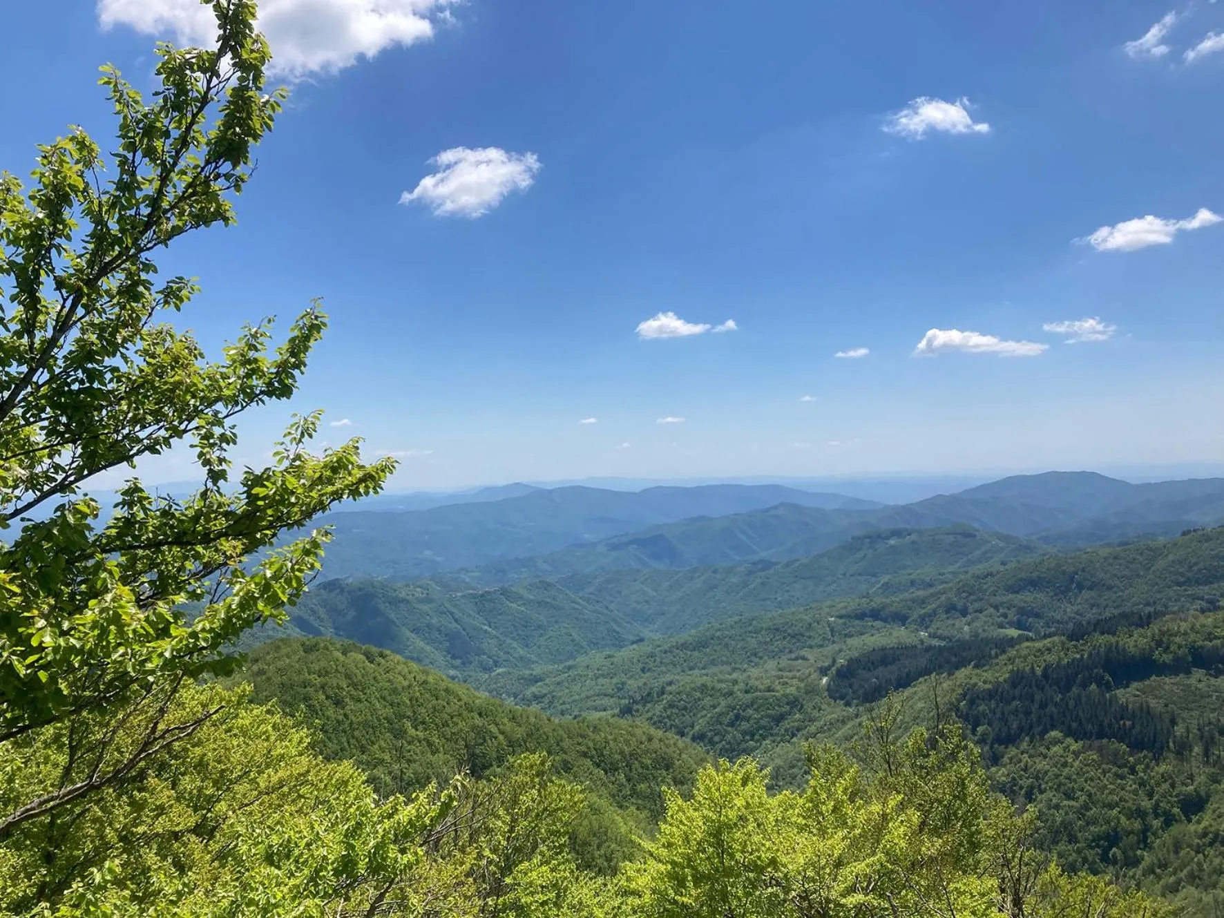 Hotel Helvetia Thermal SPA 4s