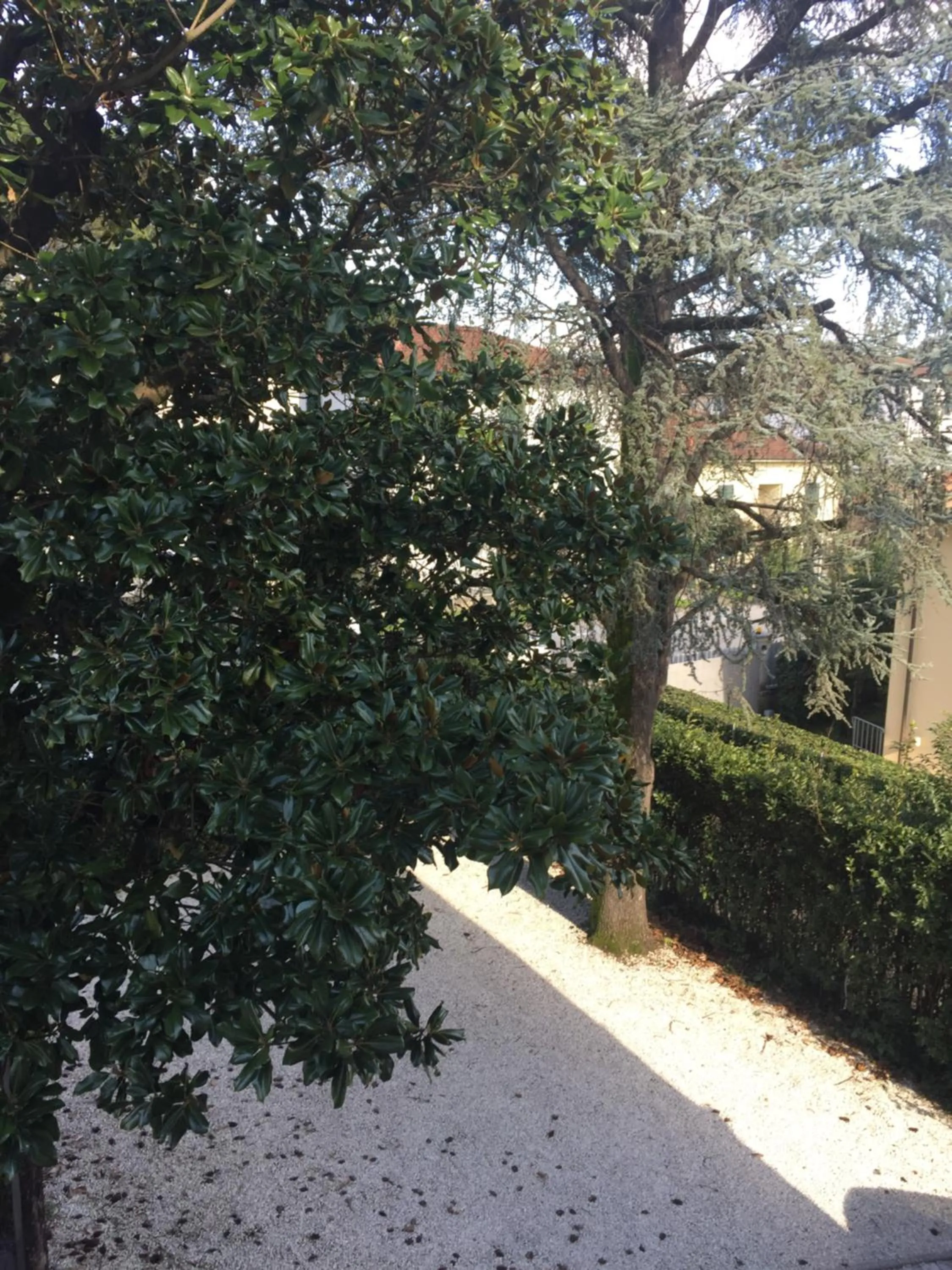 Lucca Relais