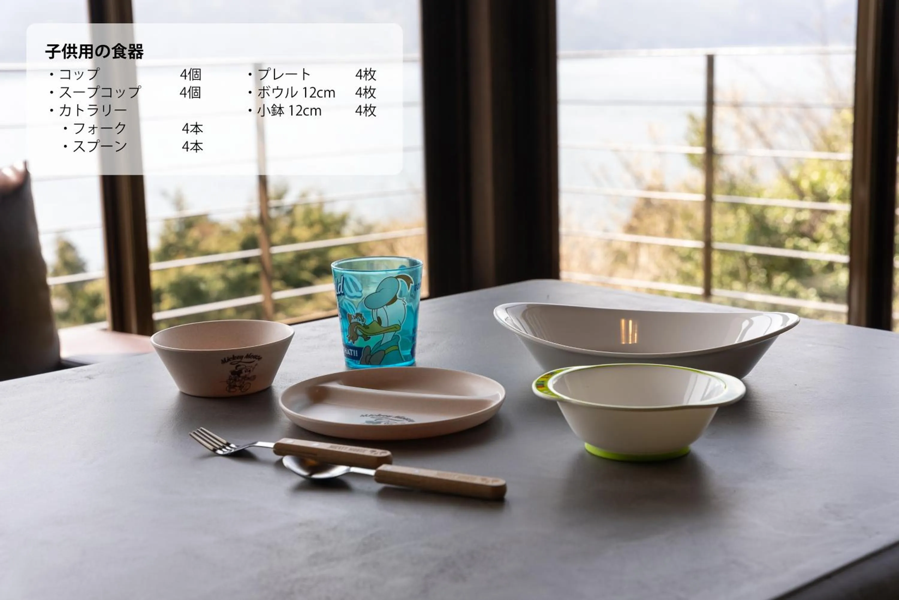 kitchen in VILLA HAKONE湖空