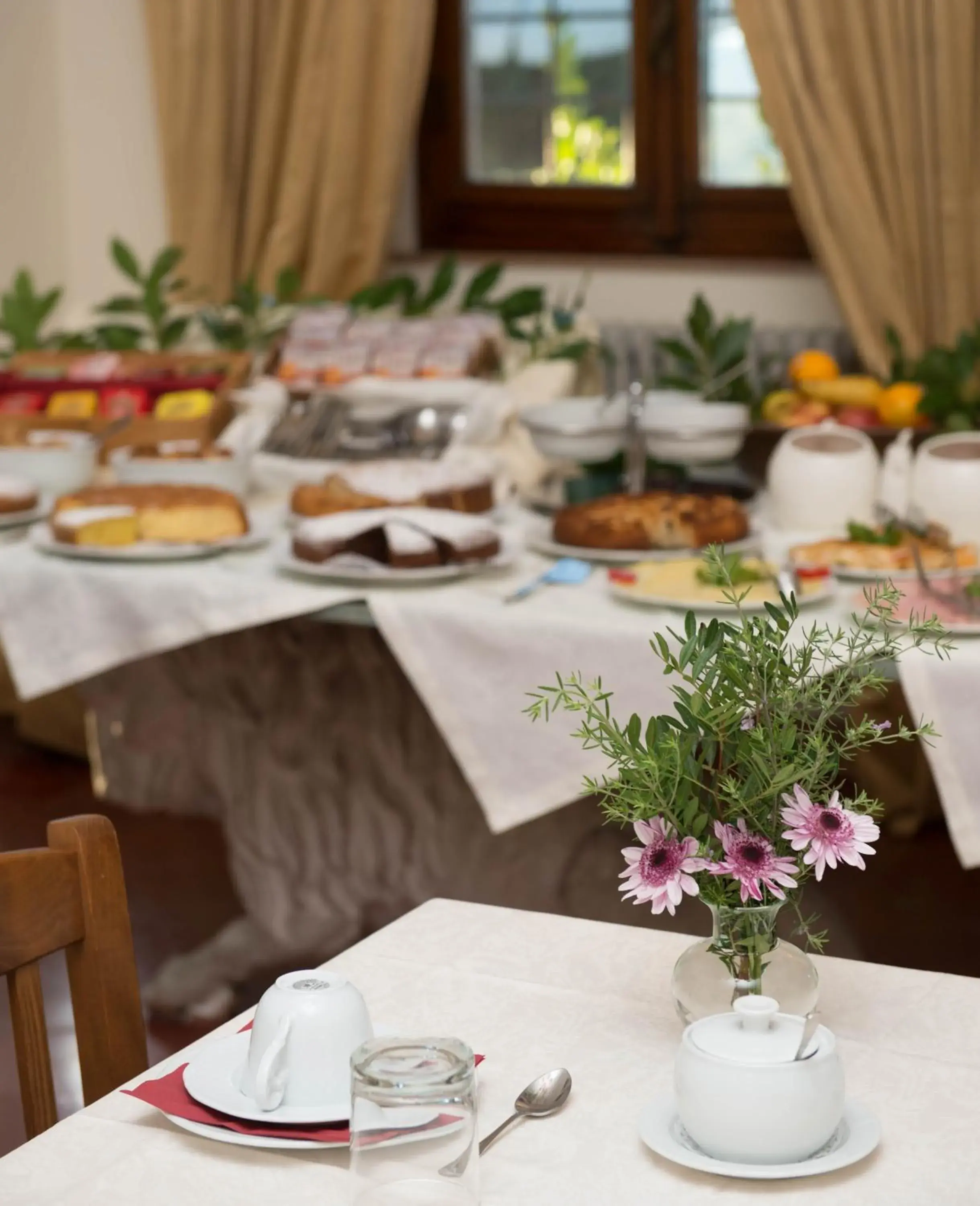 Buffet breakfast in Tenuta La Bandita Buffet breakfast in Tenuta La Bandita