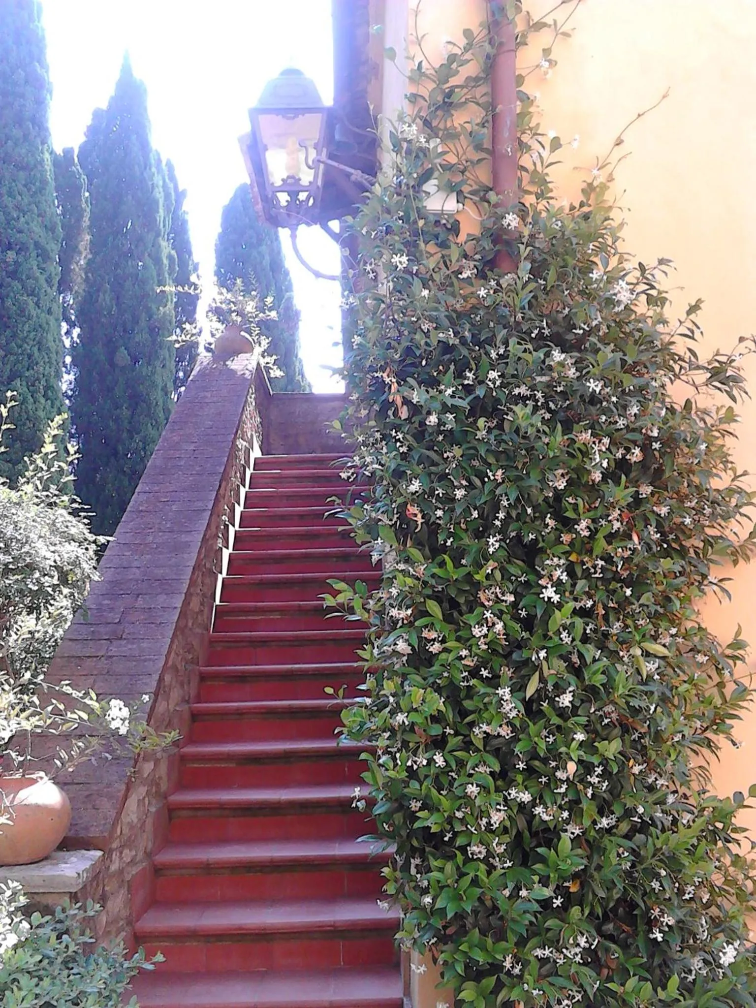 Day in Tenuta La Bandita