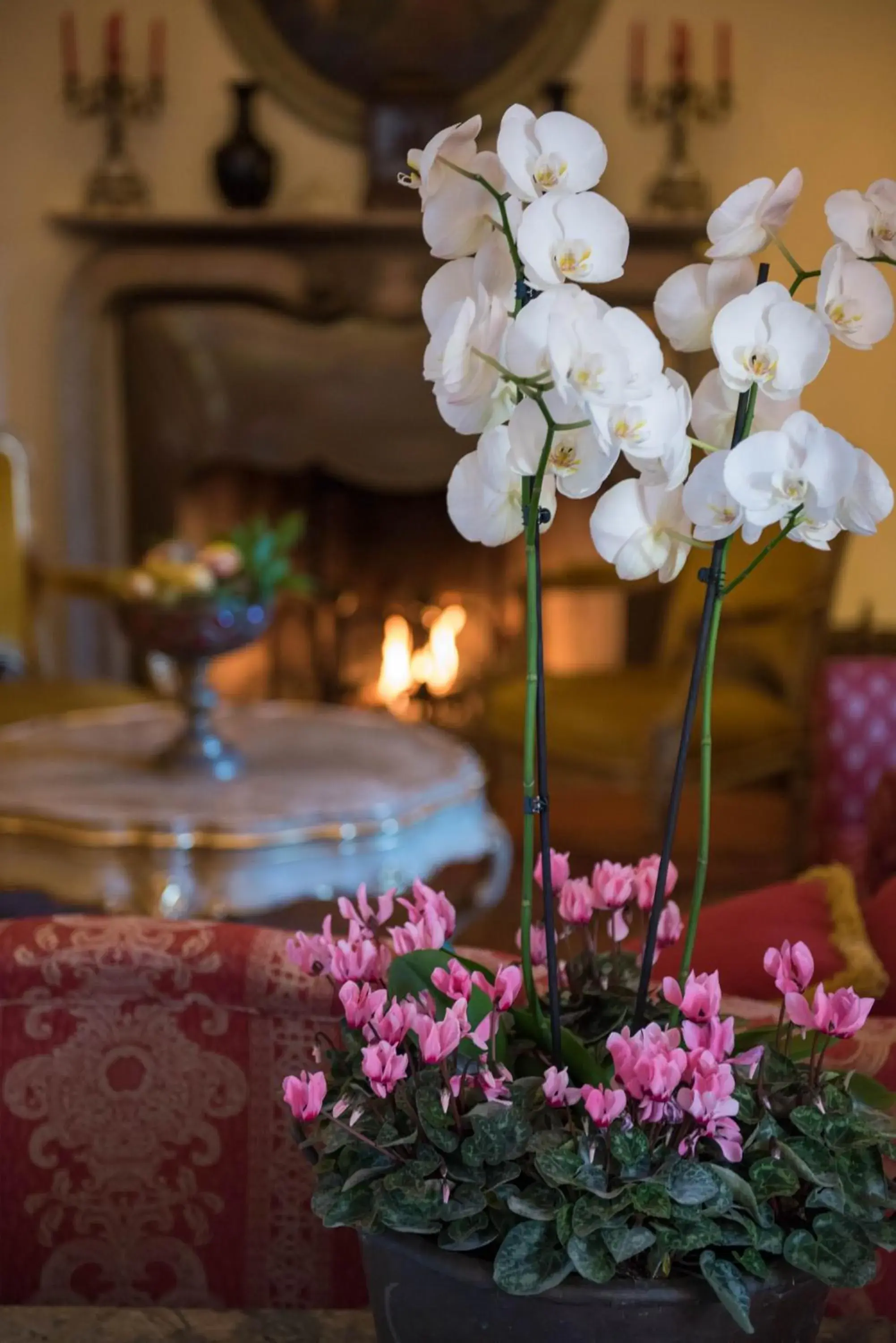 Lobby or reception in Tenuta La Bandita Lobby or reception in Tenuta La Bandita