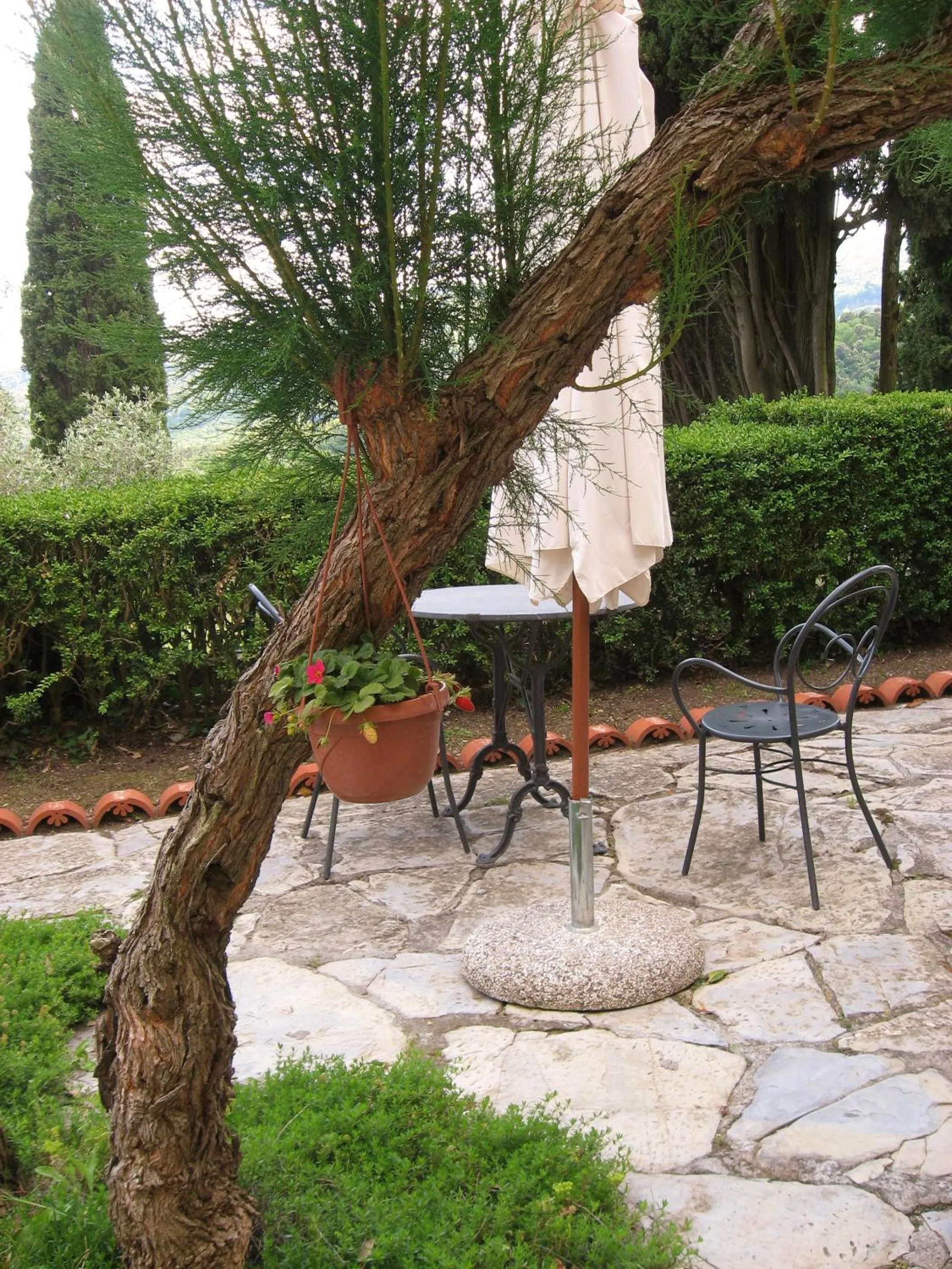 Restaurant/places to eat in Tenuta La Bandita