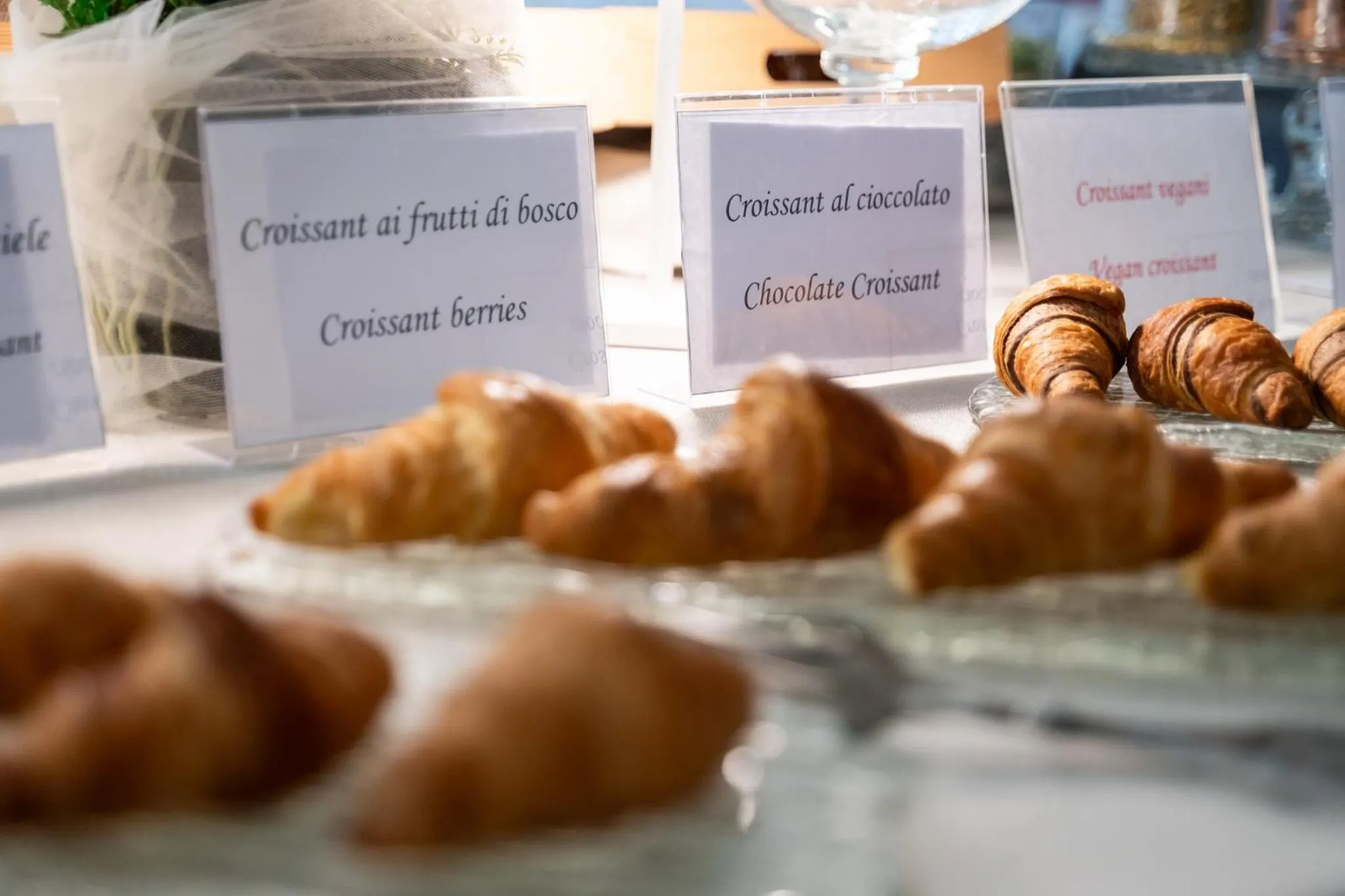 Continental breakfast in Hotel Garden Experience