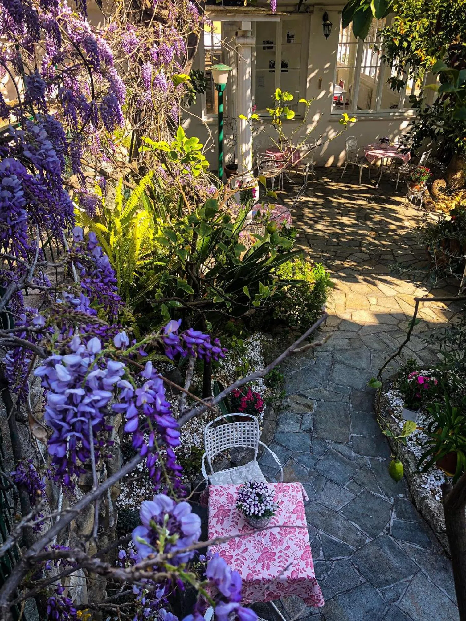 Patio in Hotel Villa La Brise