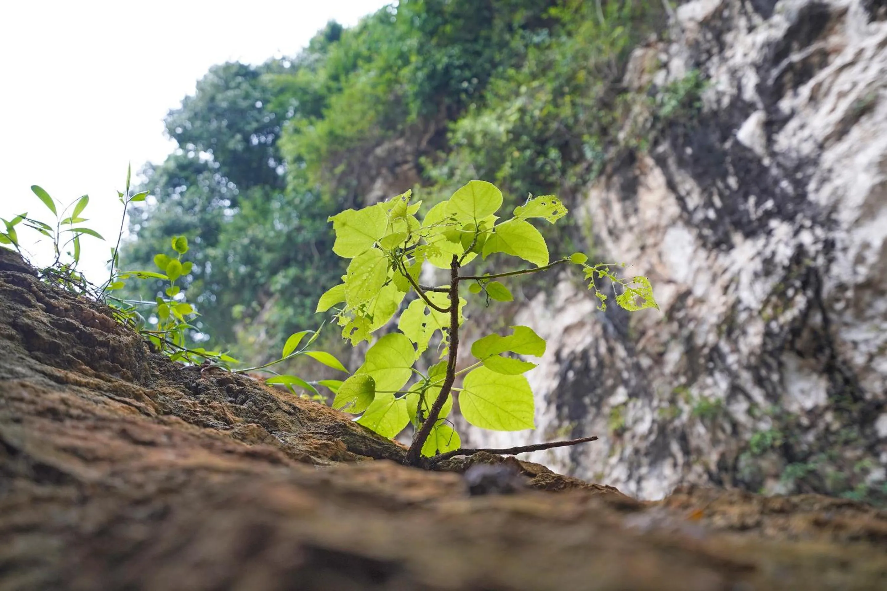 Other in OYO Homes 90916 Eco Tourism Geopark Rajamandala Homestay Syariah