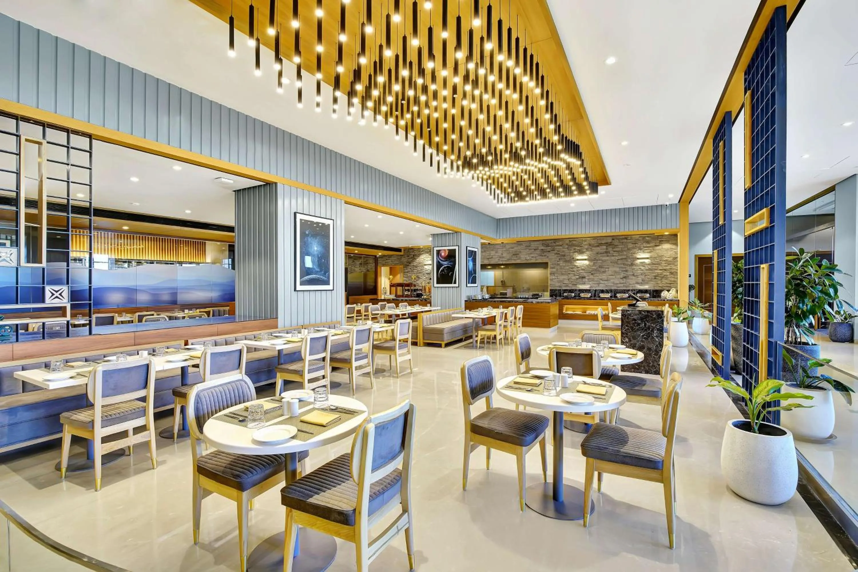 Restaurant/places to eat in Radisson Hotel Nathdwara