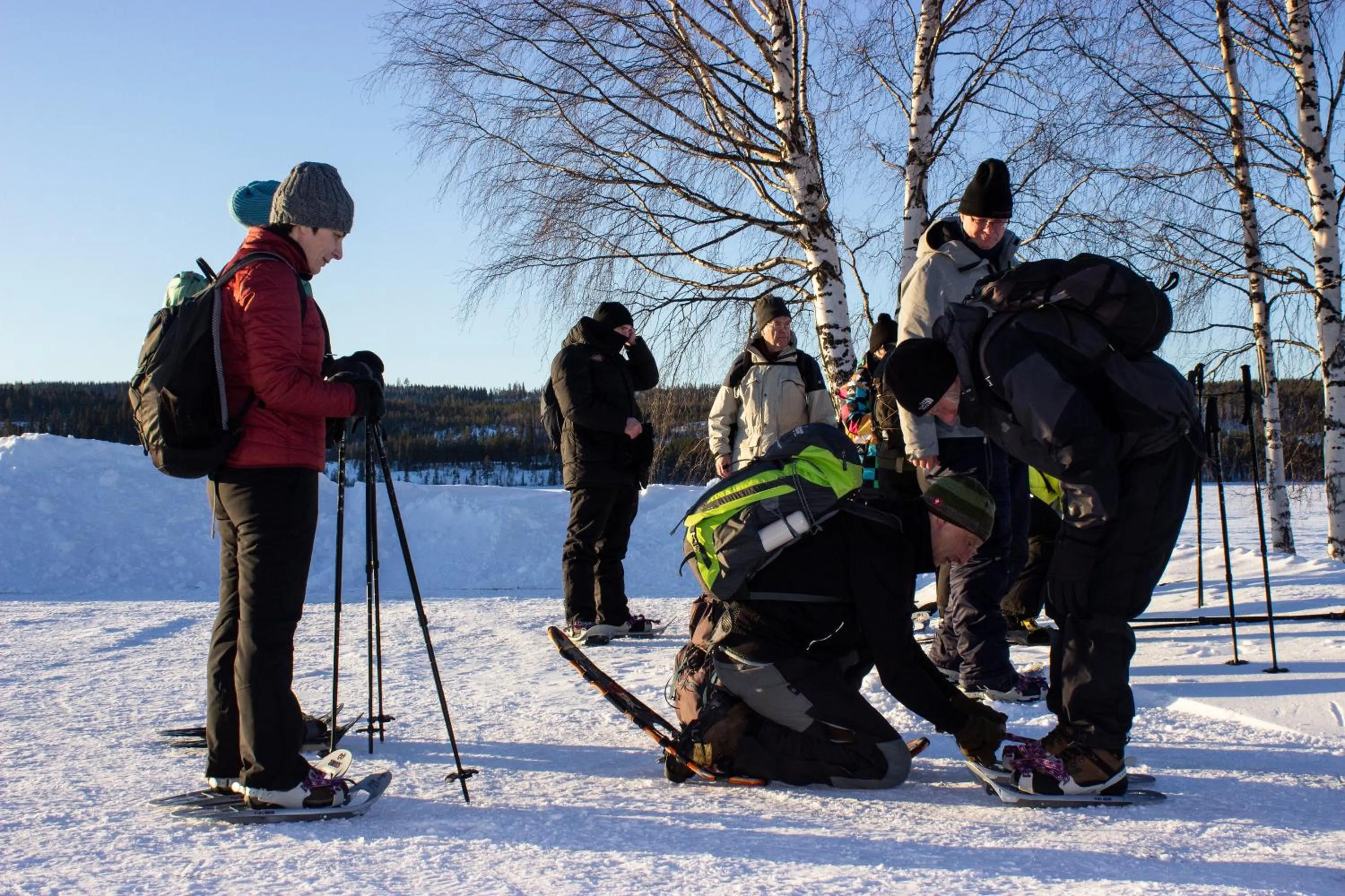 Winter in Hotell Tjamstan Malå