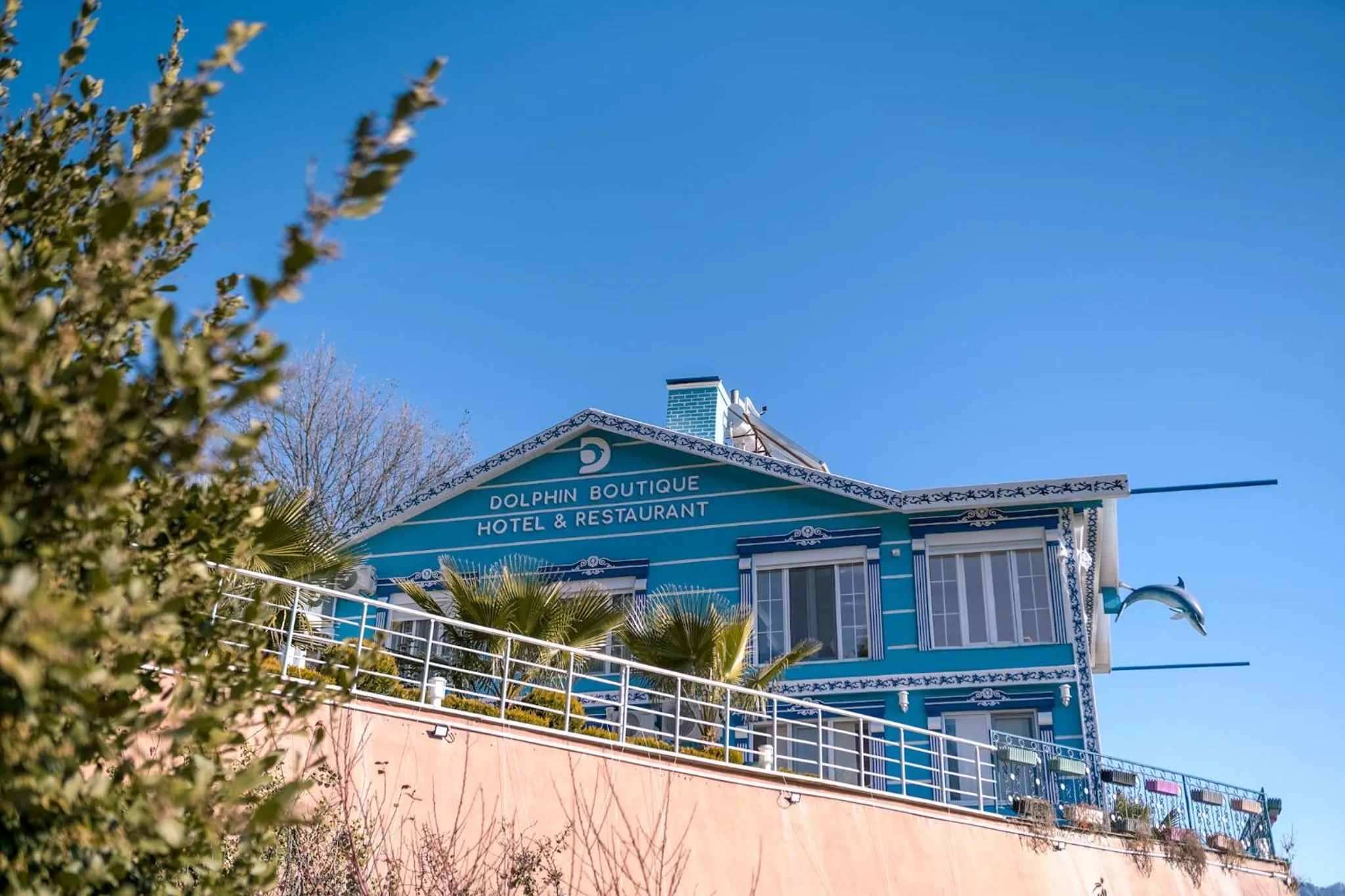 Dolphin Konaklama