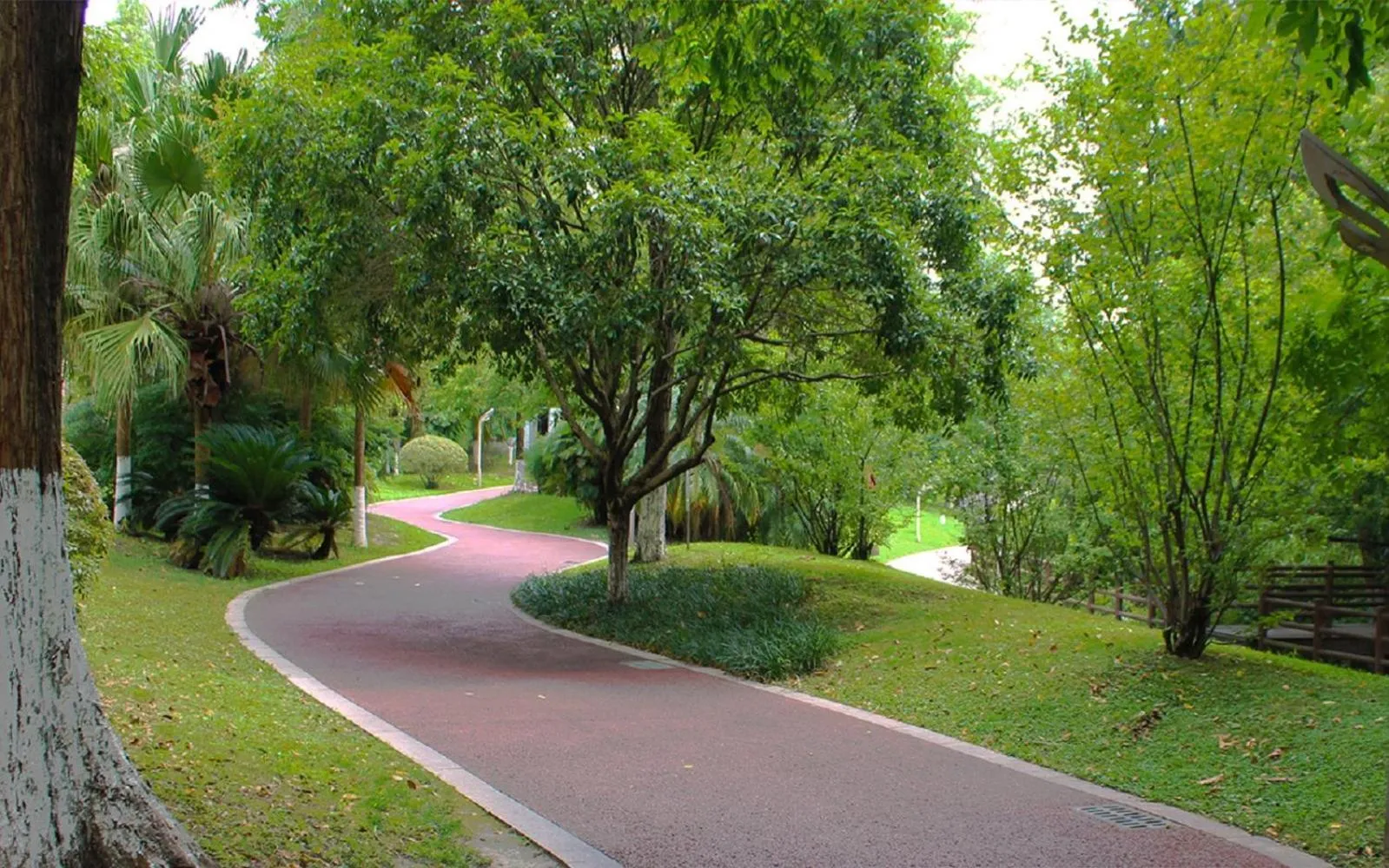 Other in Felton Grand Hotel Chengdu