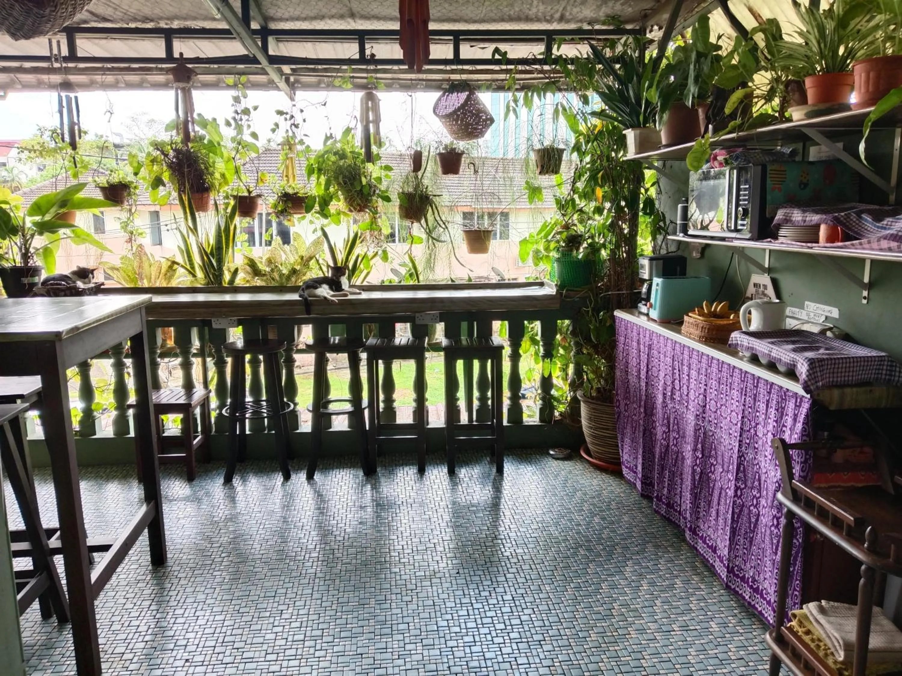Balcony/Terrace in Marco Polo Guest House
