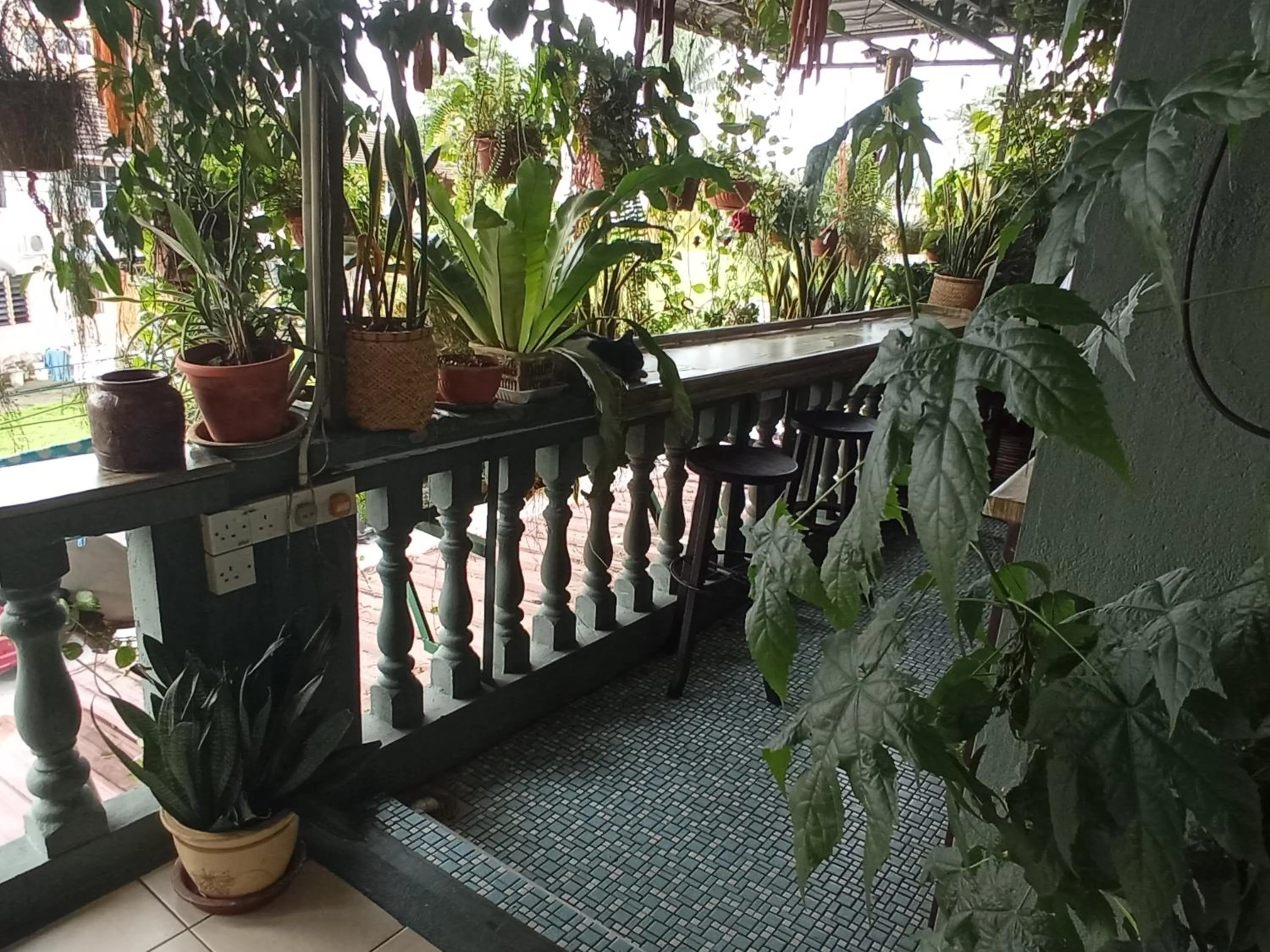 Day in Marco Polo Guest House