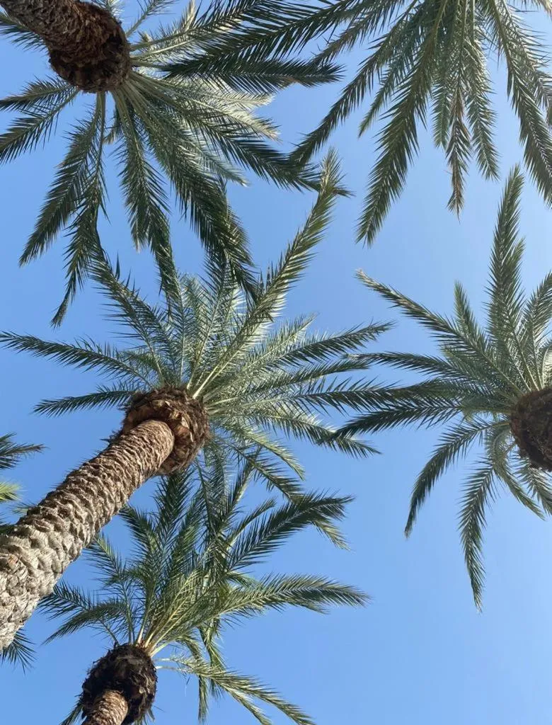 Hiking in Pension El Dorado