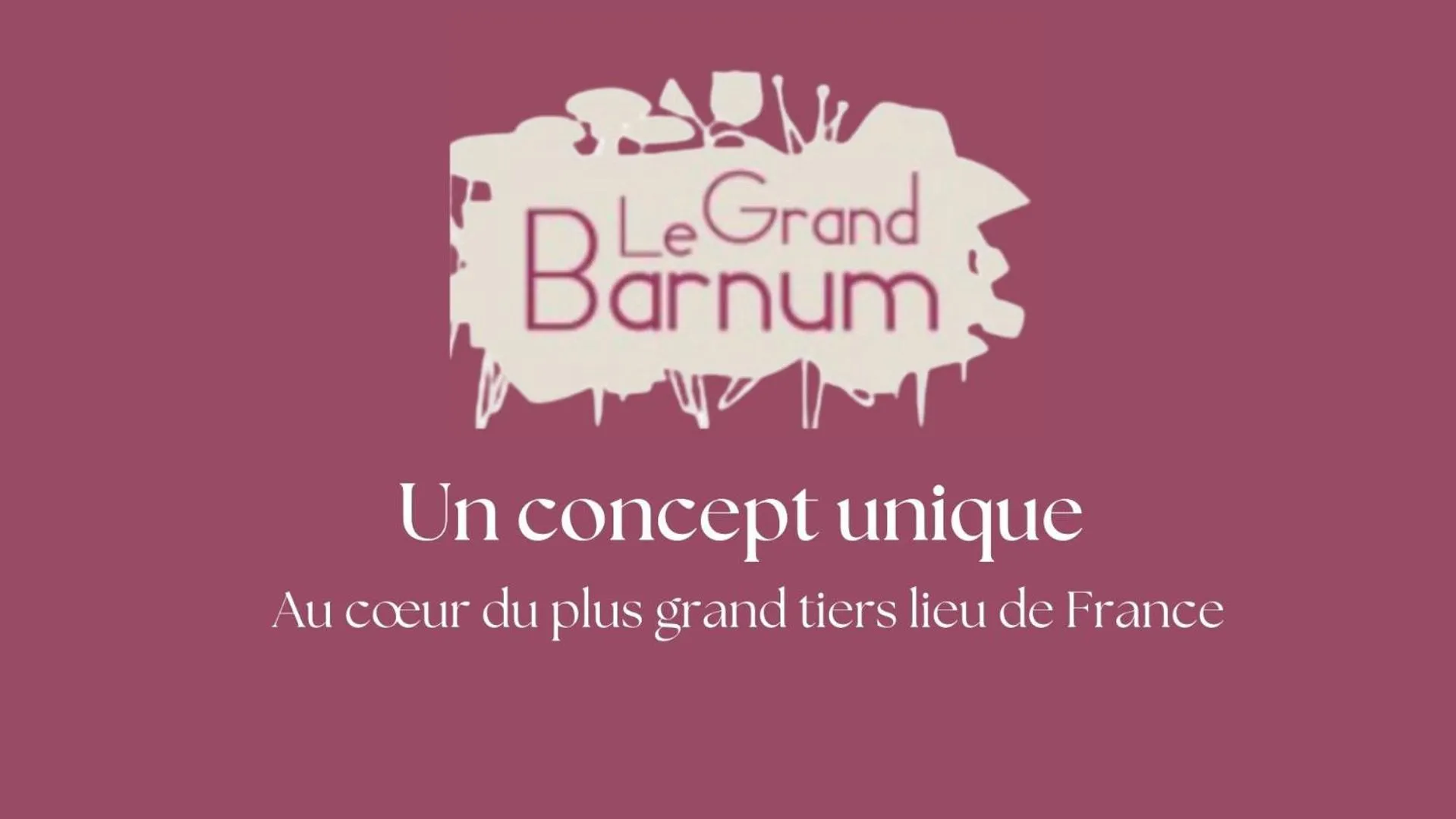 Property logo or sign in Hôtel Le Grand Barnum