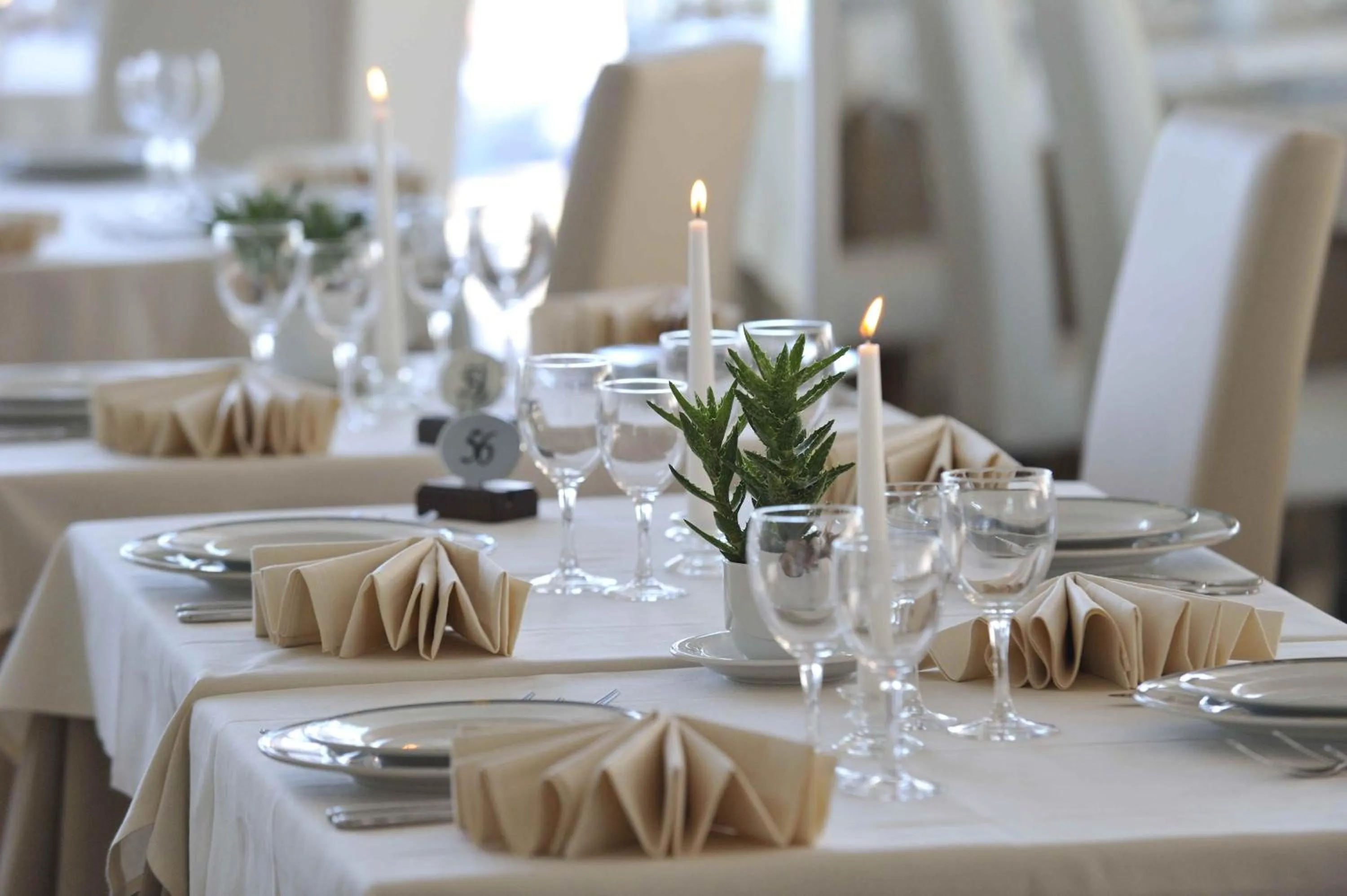 Restaurant/places to eat in Hotel Excelsior