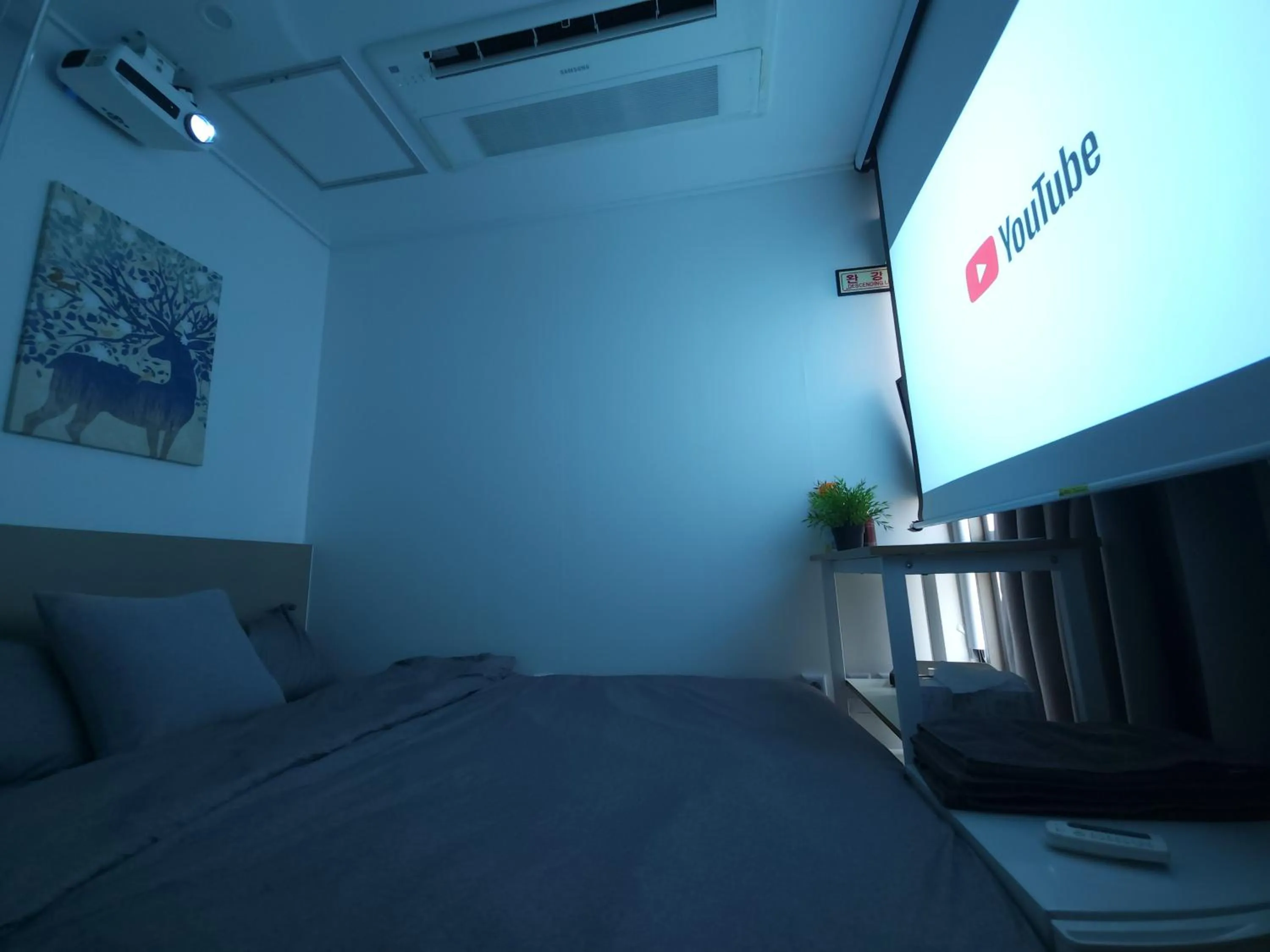 Bed in OYO Hostel Myeongdong 2