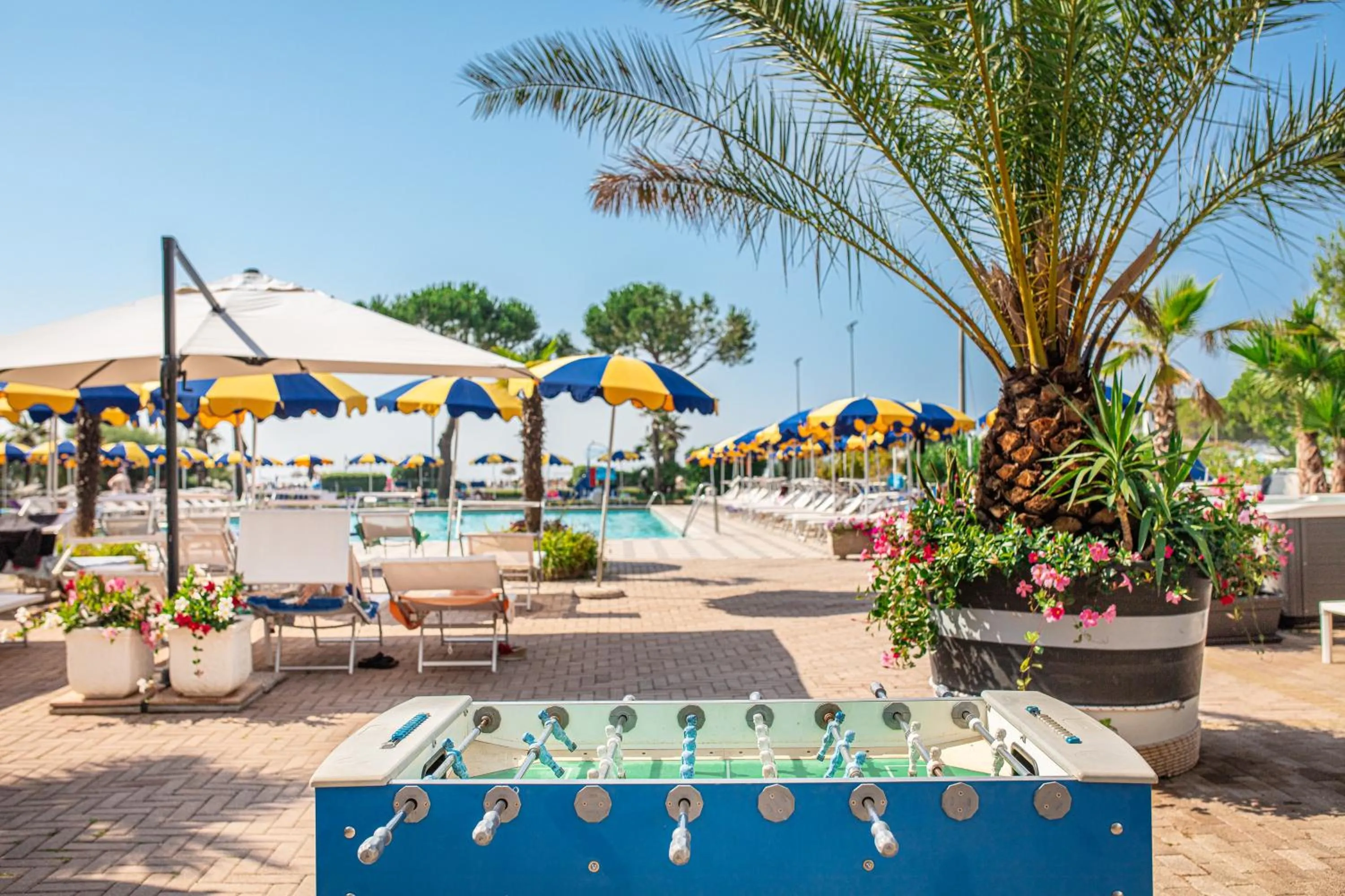 Restaurant/places to eat in Hotel Bellevue