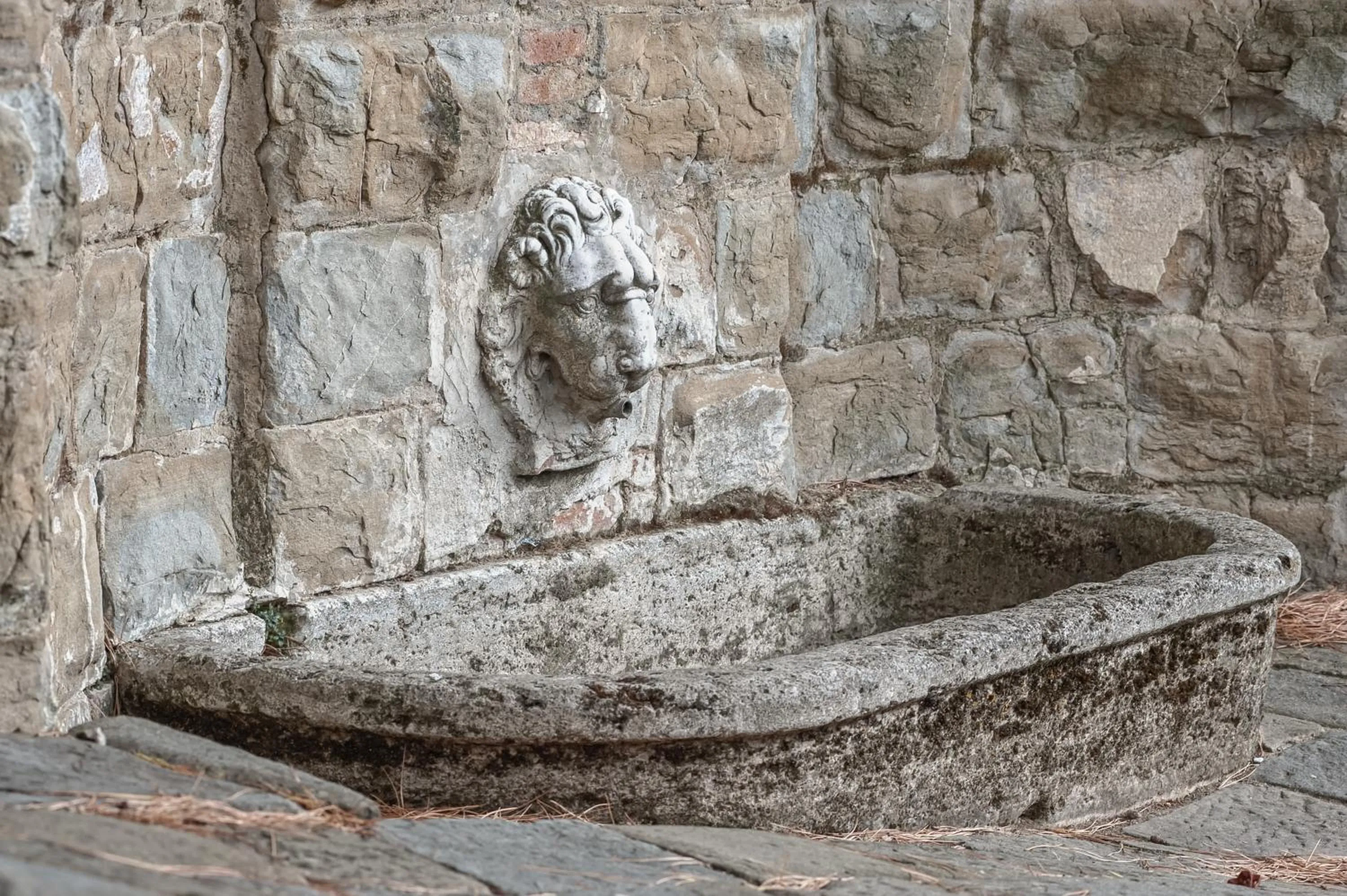 Decorative detail in Villa Casafrassi -ONLY ADULTS