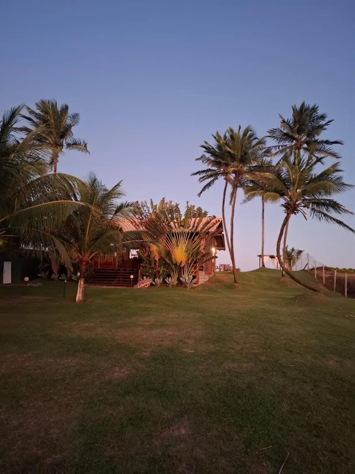 Tree Bies Resort Tree Bies Resort