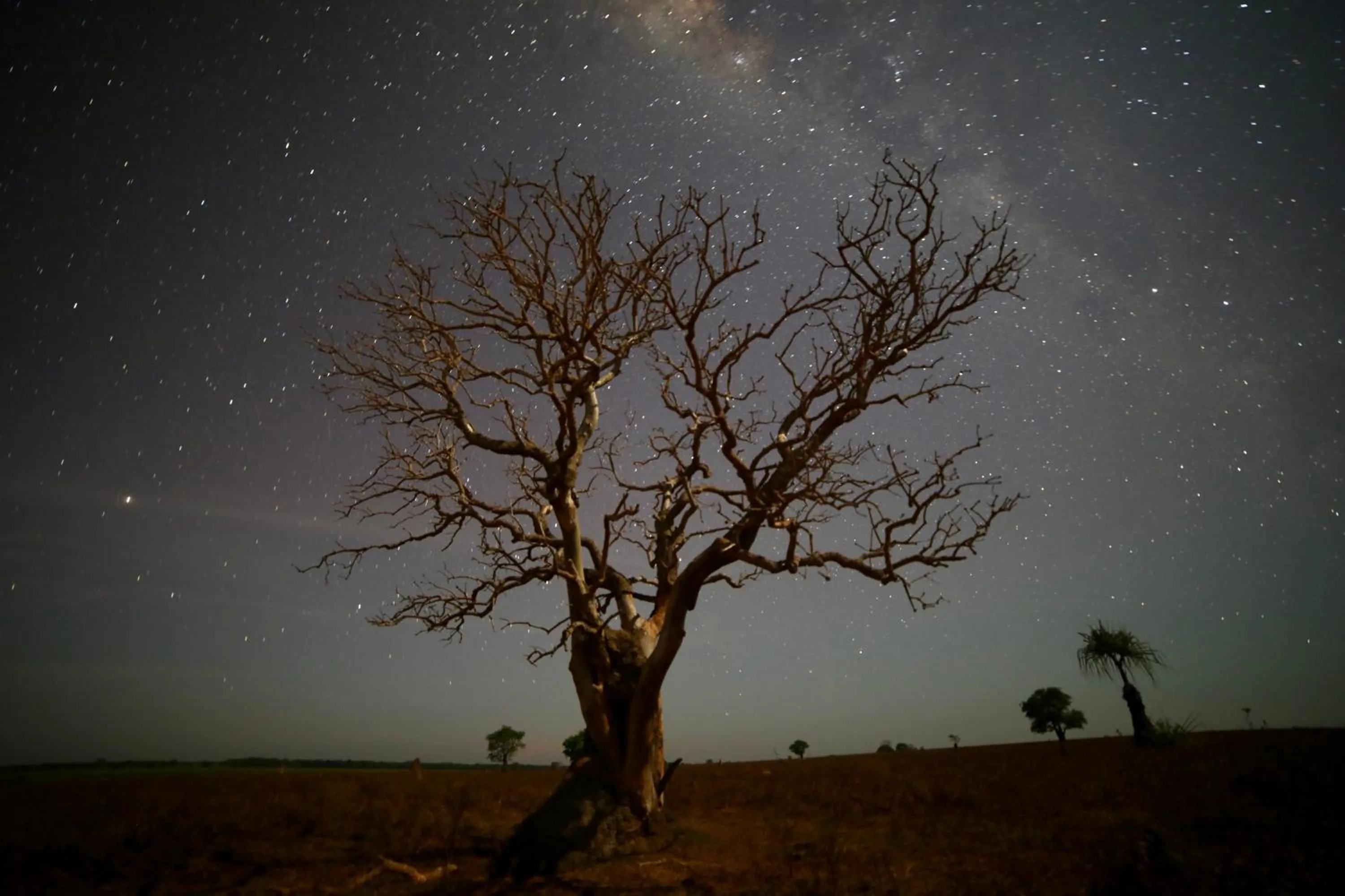 Night in Finniss River Lodge