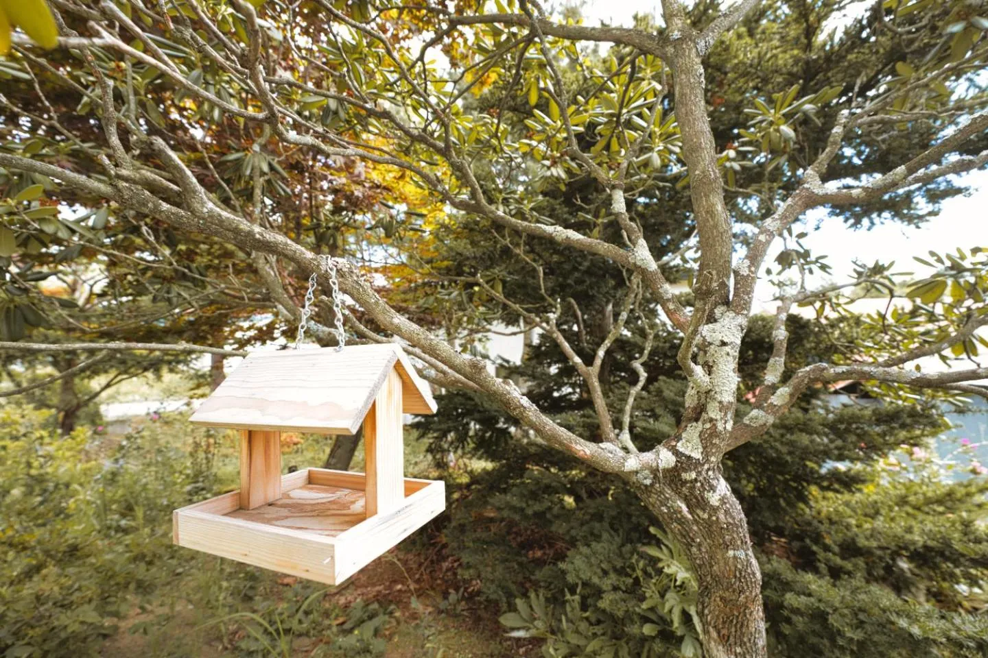 Garden in Maple Farm