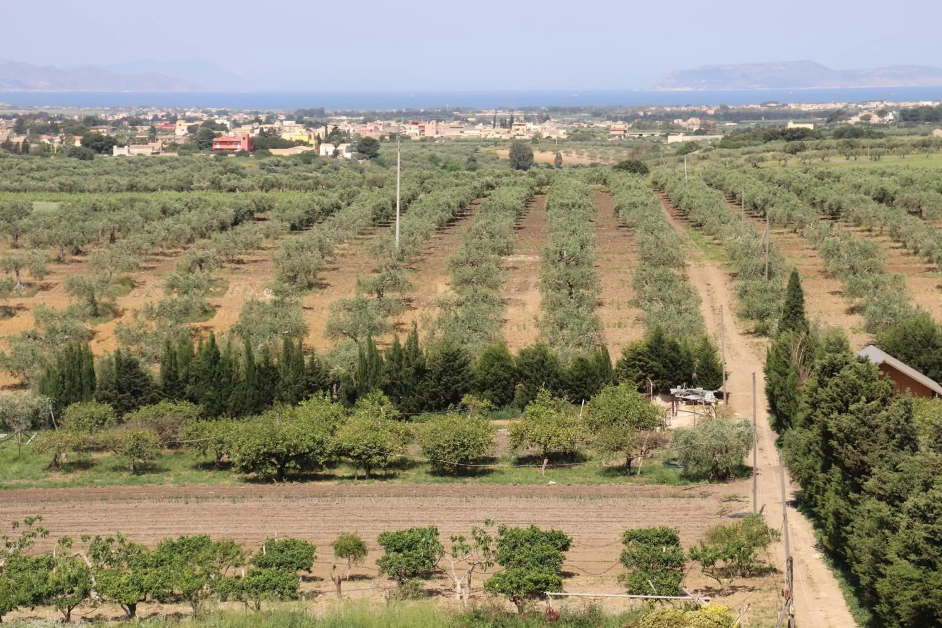 View (from property/room) in Agriturismo Vultaggio View (from property/room) in Agriturismo Vultaggio