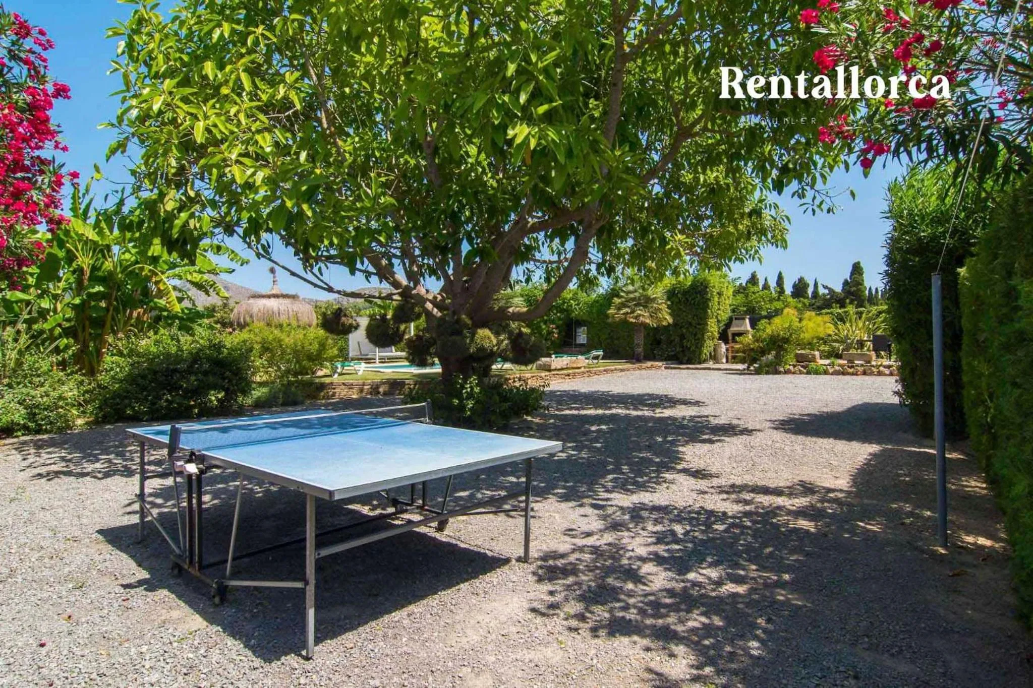 Patio in Finca Comteses Petit by Rentallorca