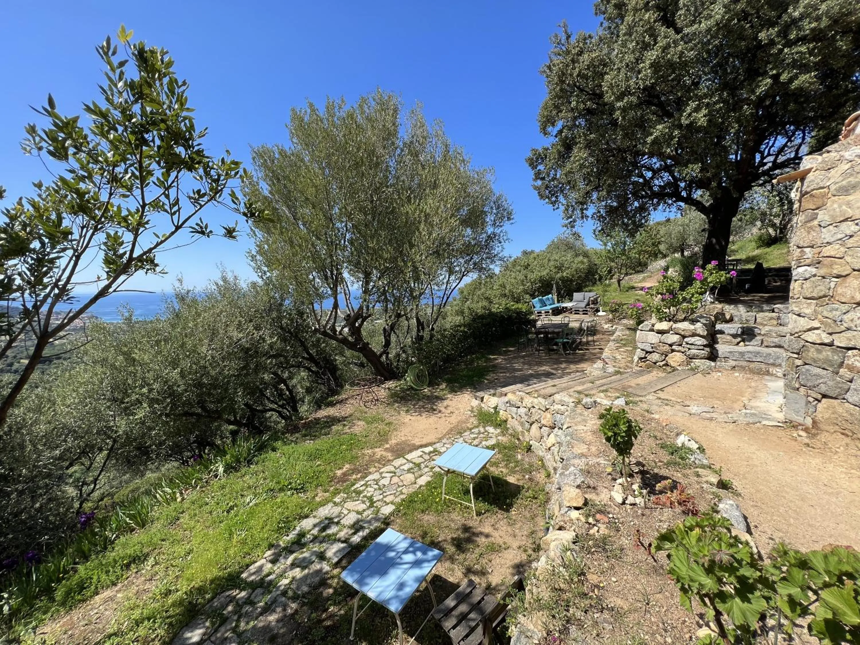 Garden in Casa Musicale