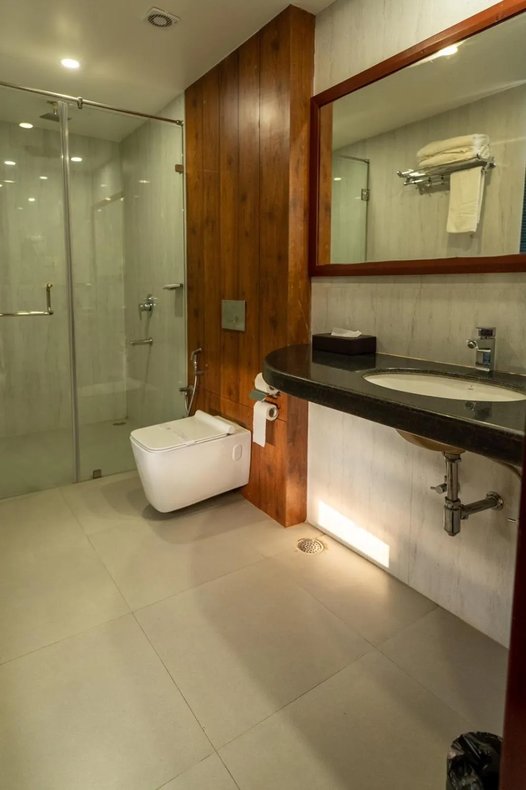 Toilet in Mansha Palace