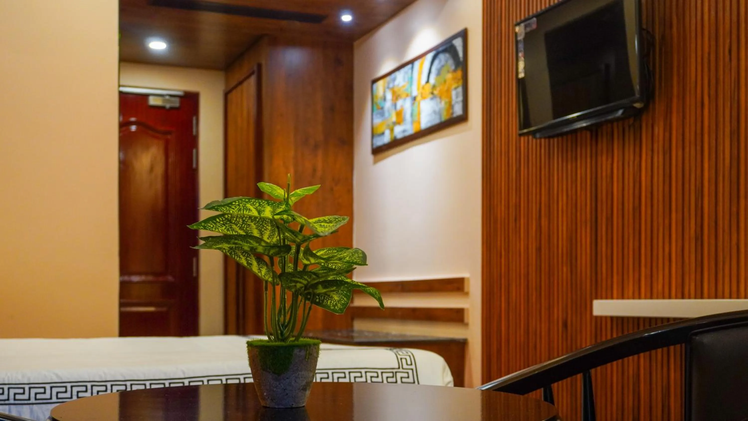 Communal lounge/ TV room in Mansha Palace