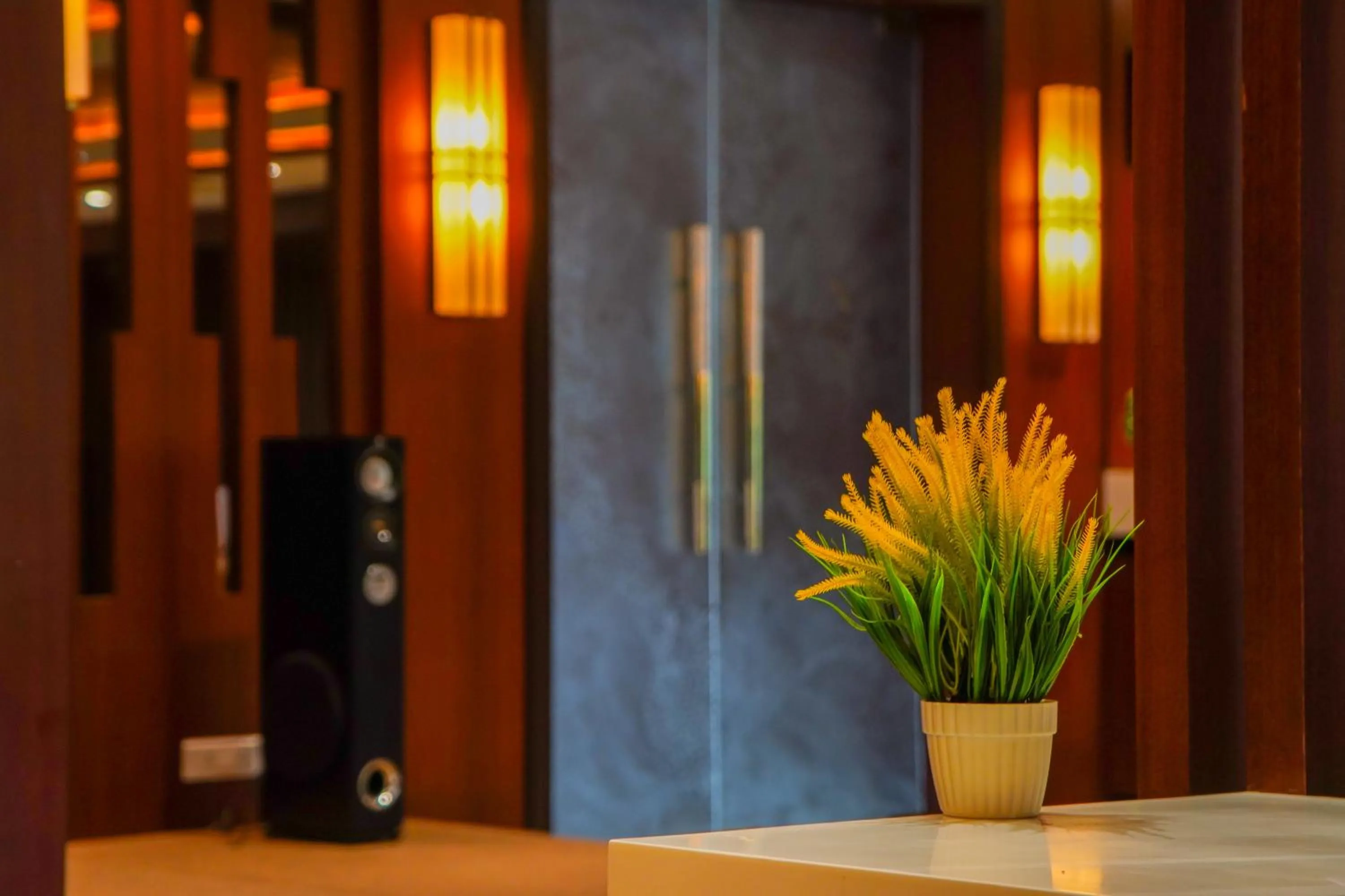 Restaurant/places to eat in Mansha Palace