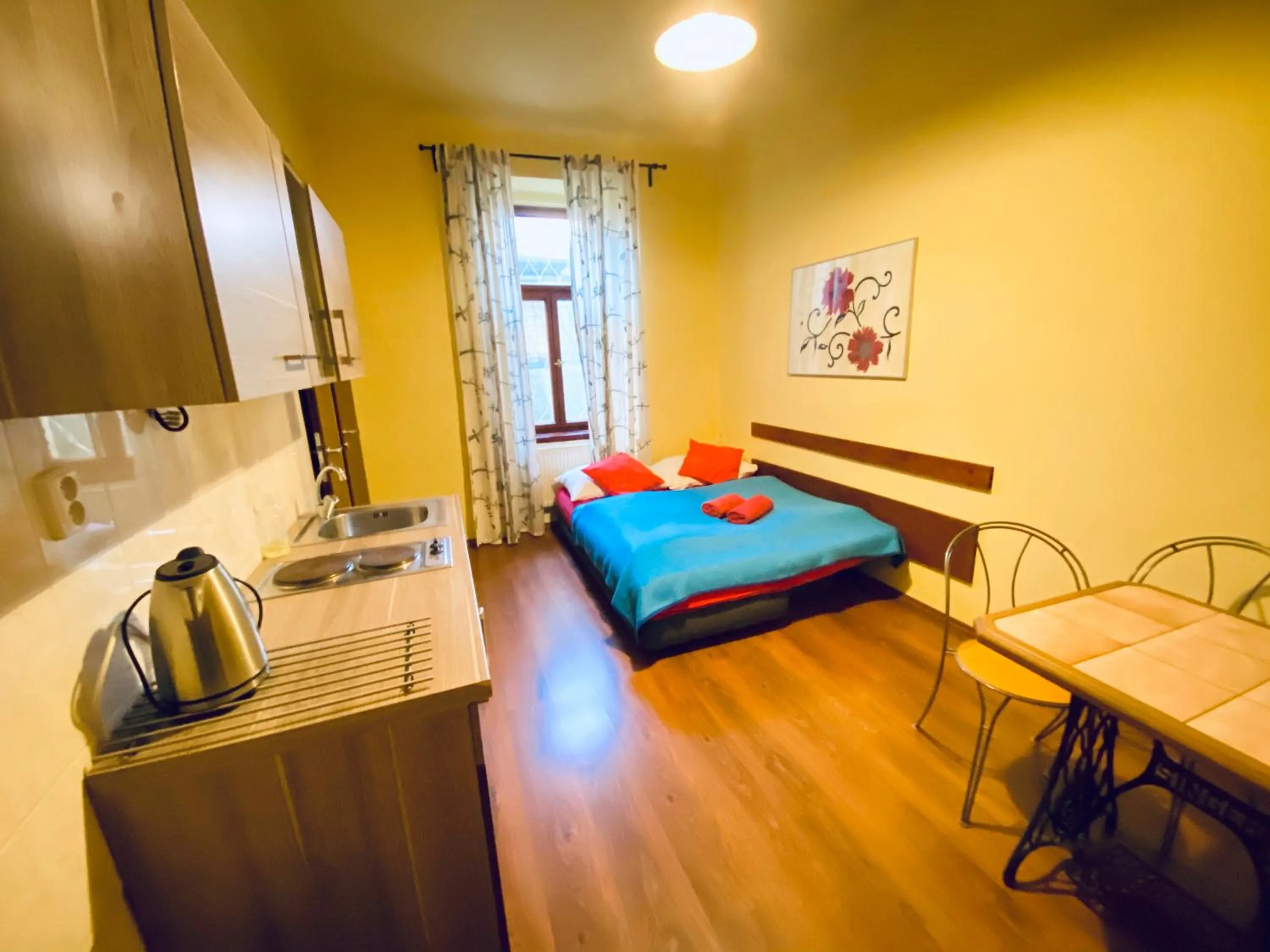 Standard Apartment in Pension 15 Homér