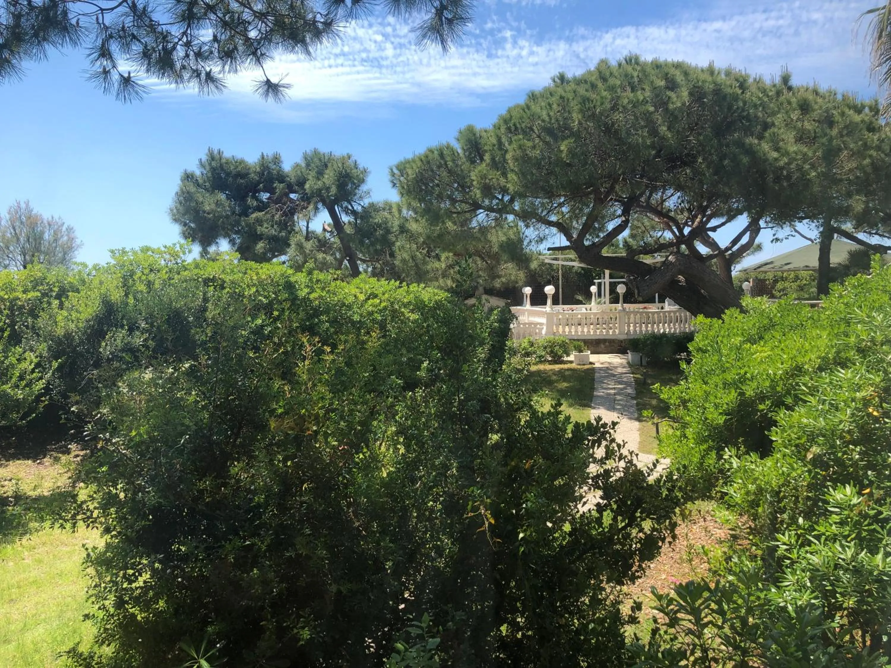 Garden in Domizia Palace Hotel