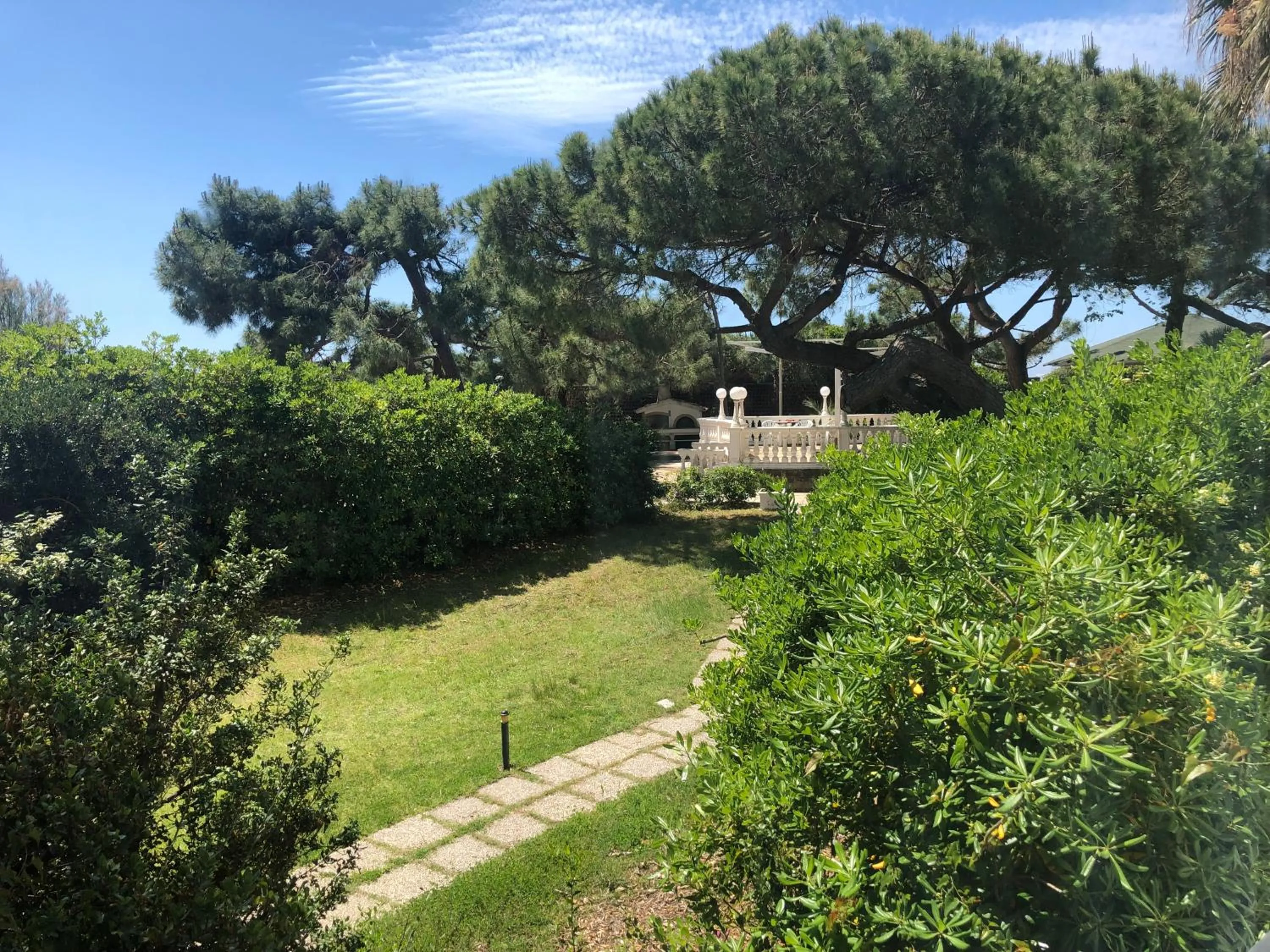 Garden in Domizia Palace Hotel