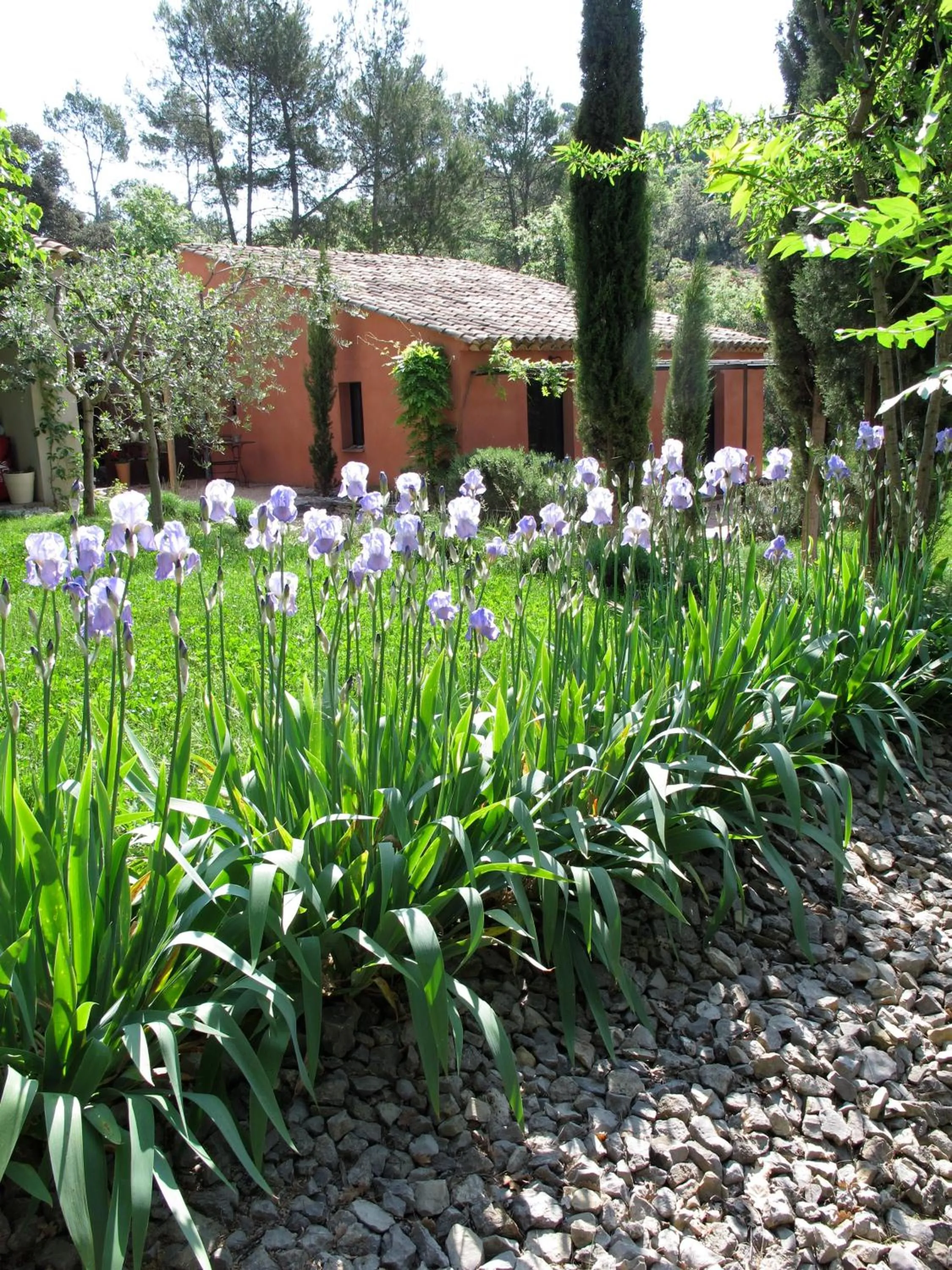 Garden in Les Pierres Sauvages
