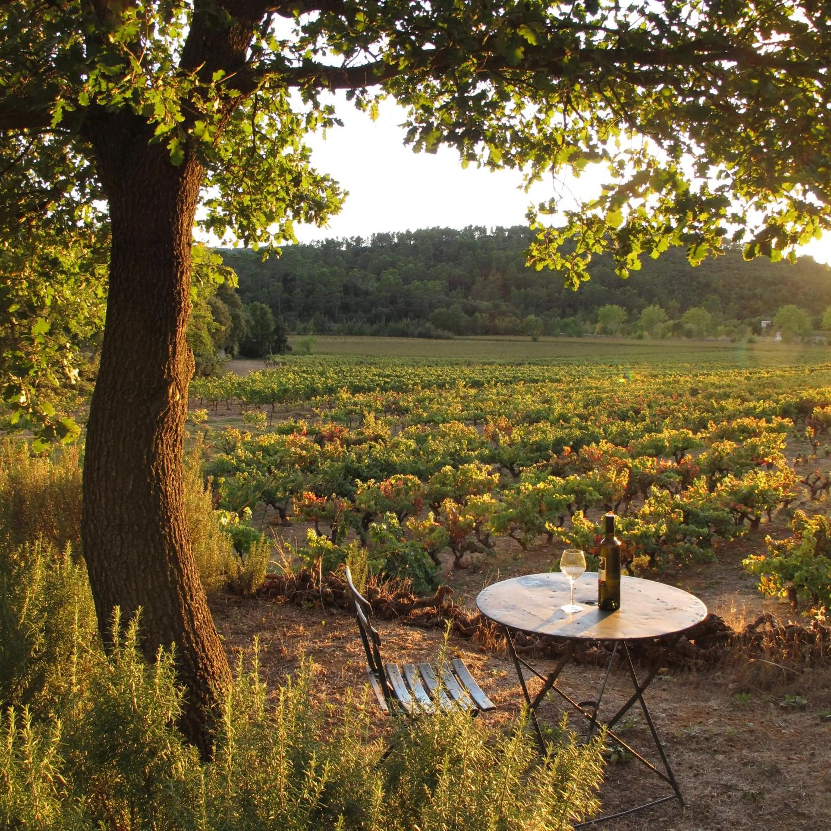 Garden in Les Pierres Sauvages