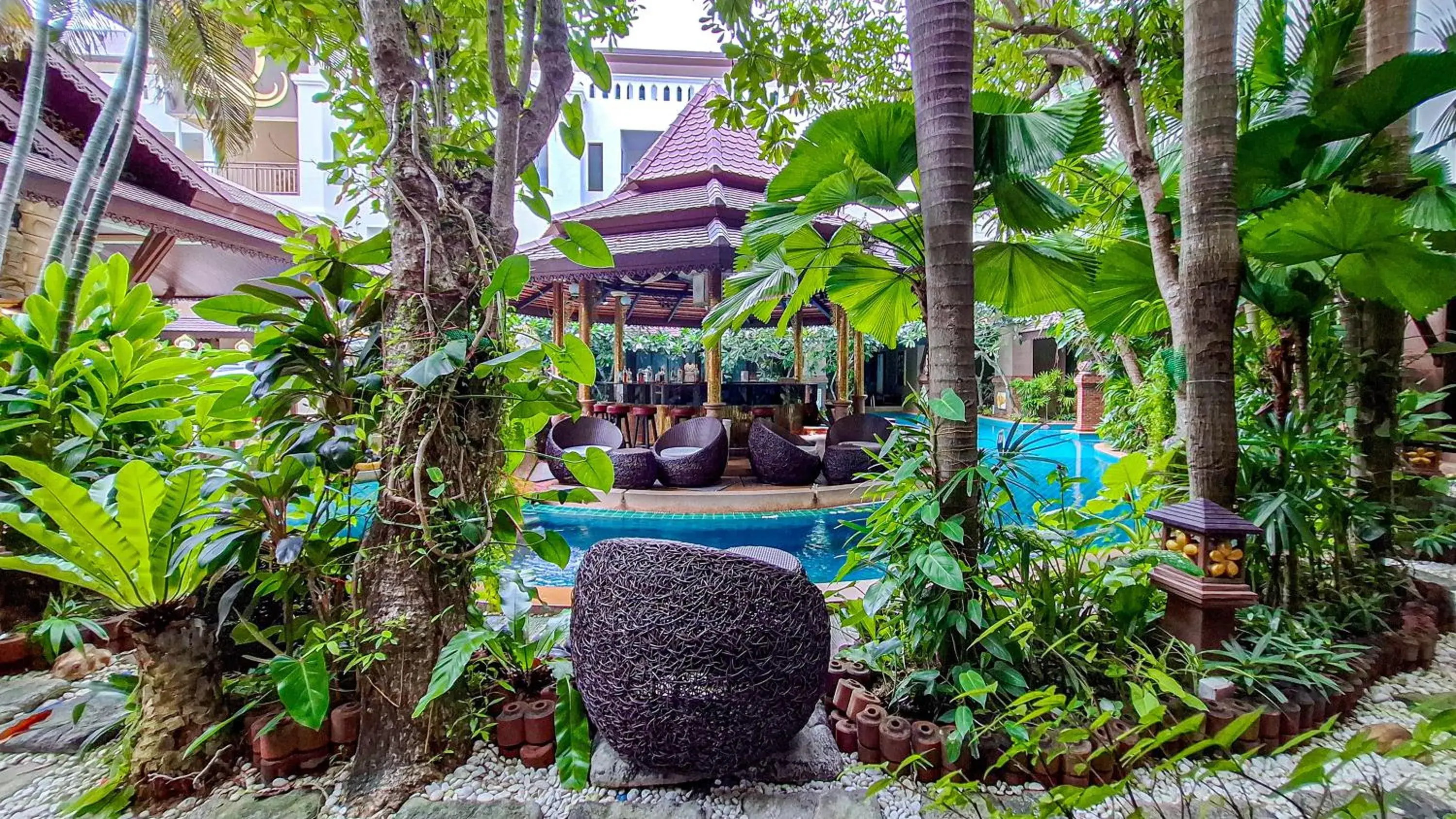 View (from property/room) in Quality Beach Resorts and Spa Patong View (from property/room) in Quality Beach Resorts and Spa Patong