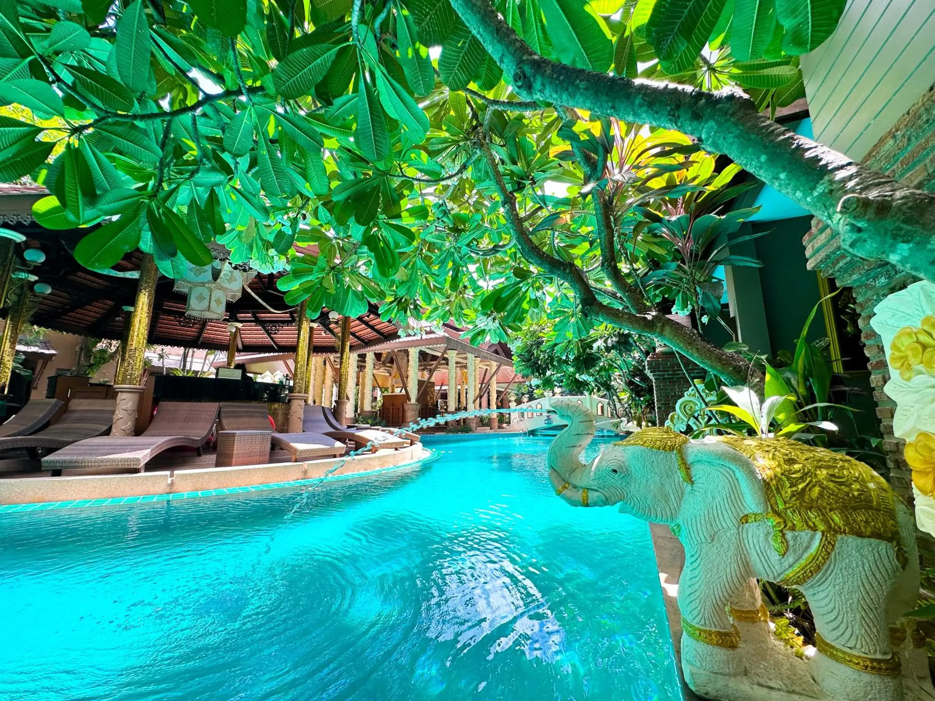 Pool view in Quality Beach Resorts and Spa Patong Pool view in Quality Beach Resorts and Spa Patong