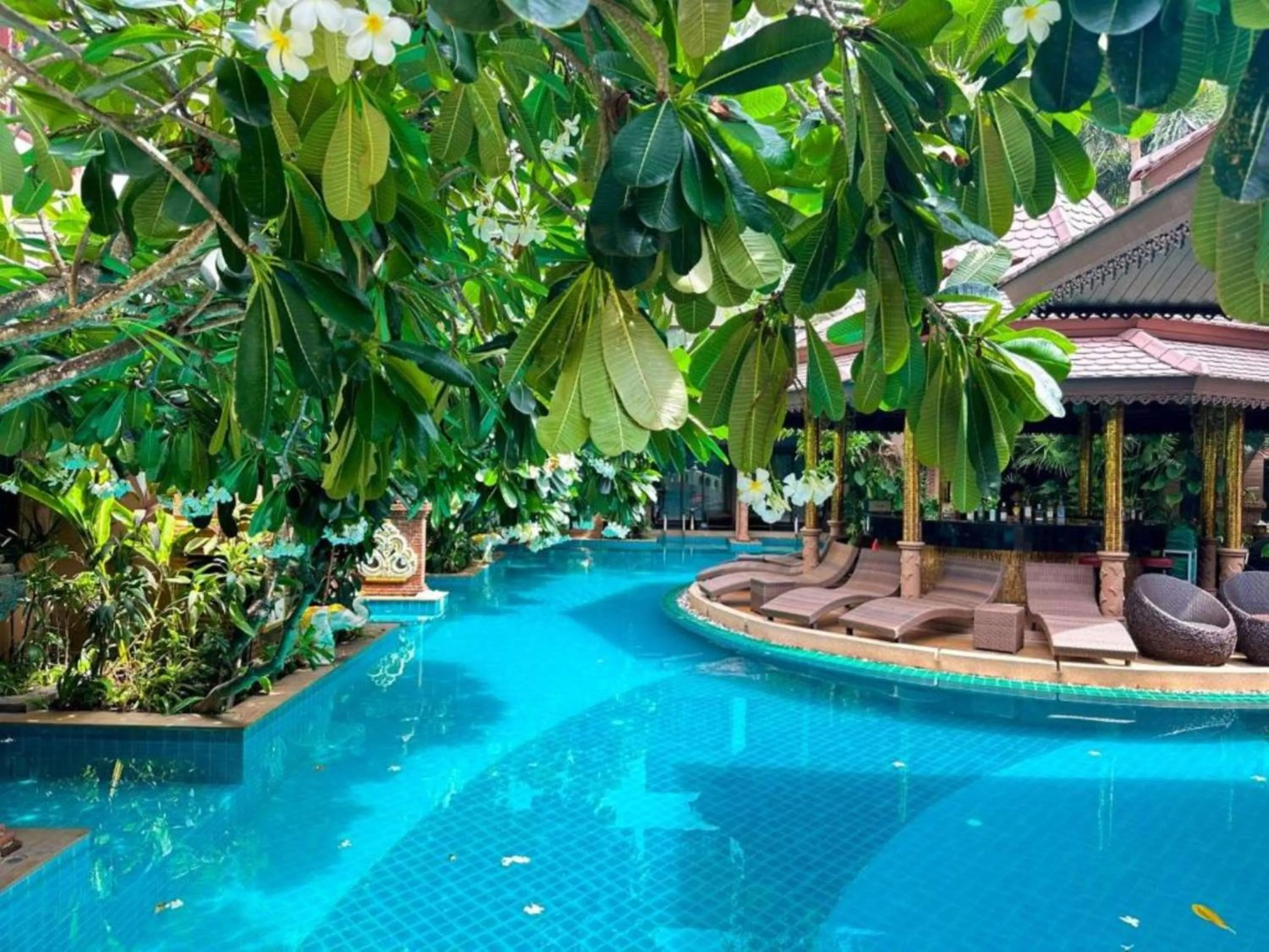 Swimming pool in Quality Beach Resorts and Spa Patong