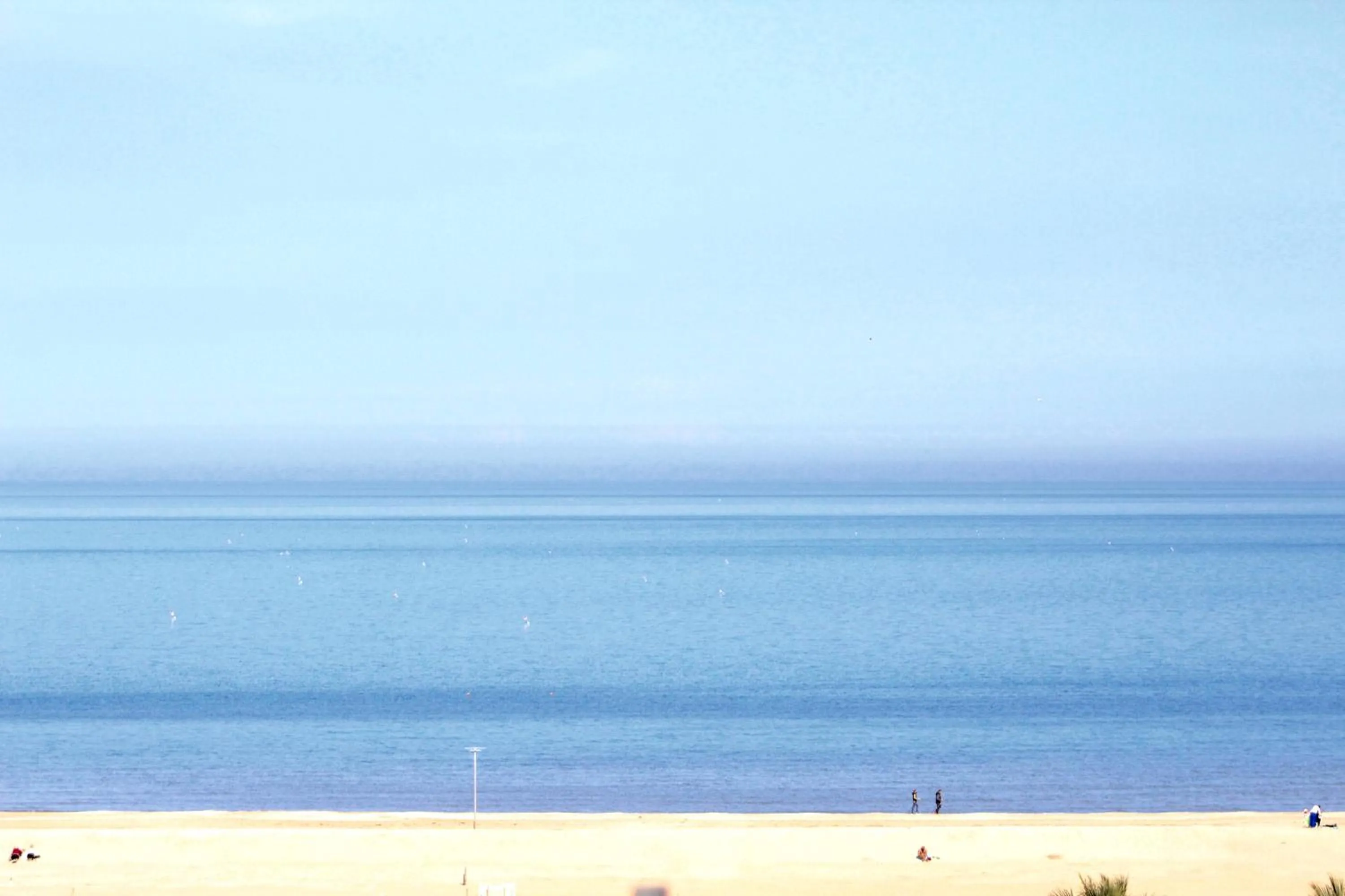 View (from property/room) in Hotel Fedora Rimini