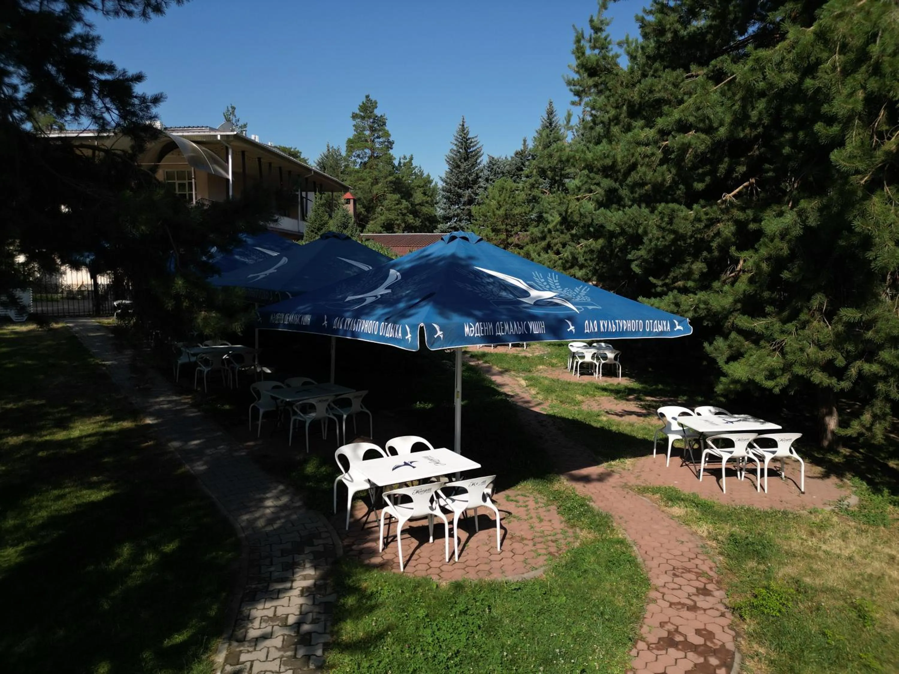 Garden view in Olympica Hotel