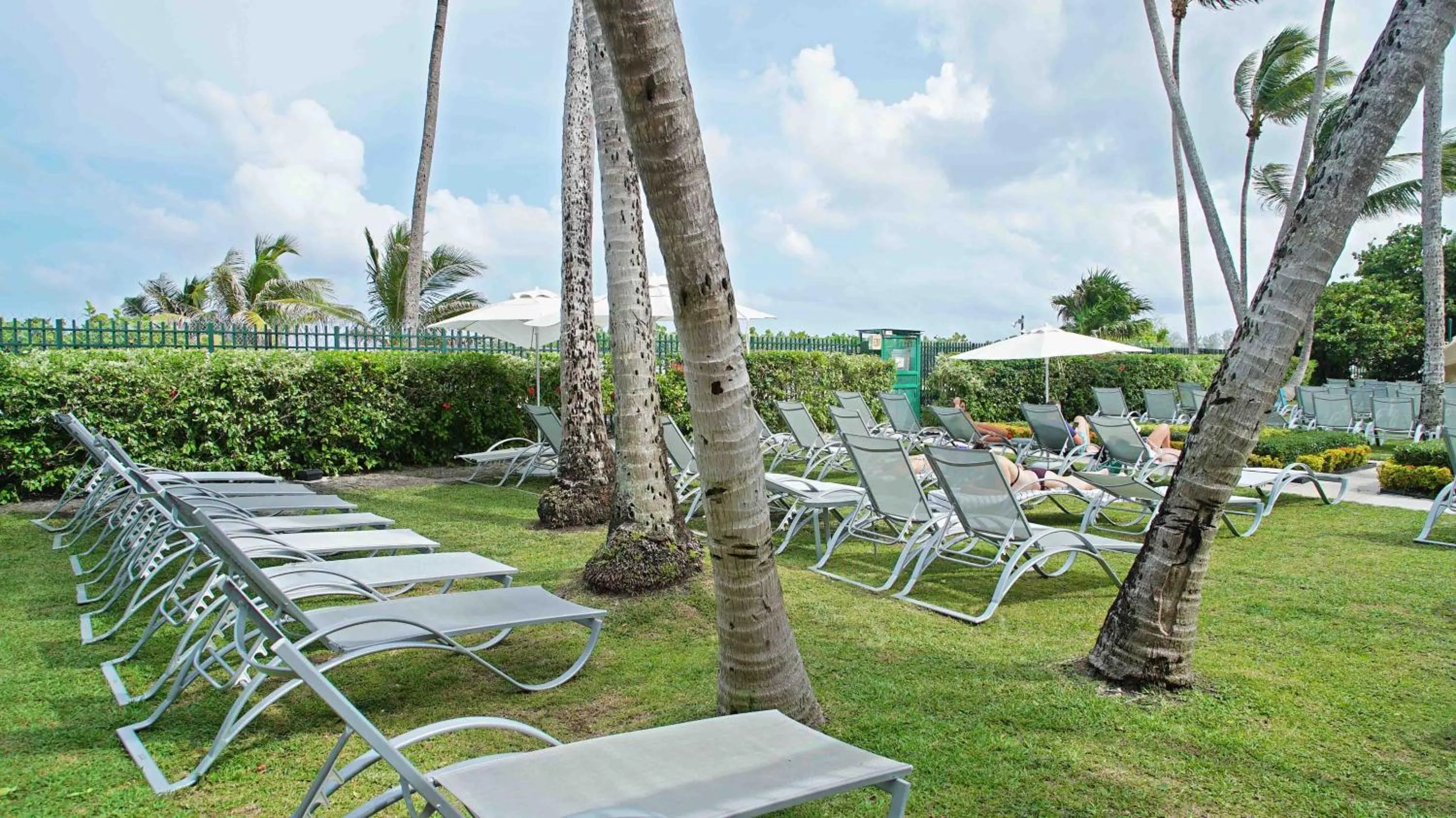 Garden in Deluxe Apartments by South Florida Vacations